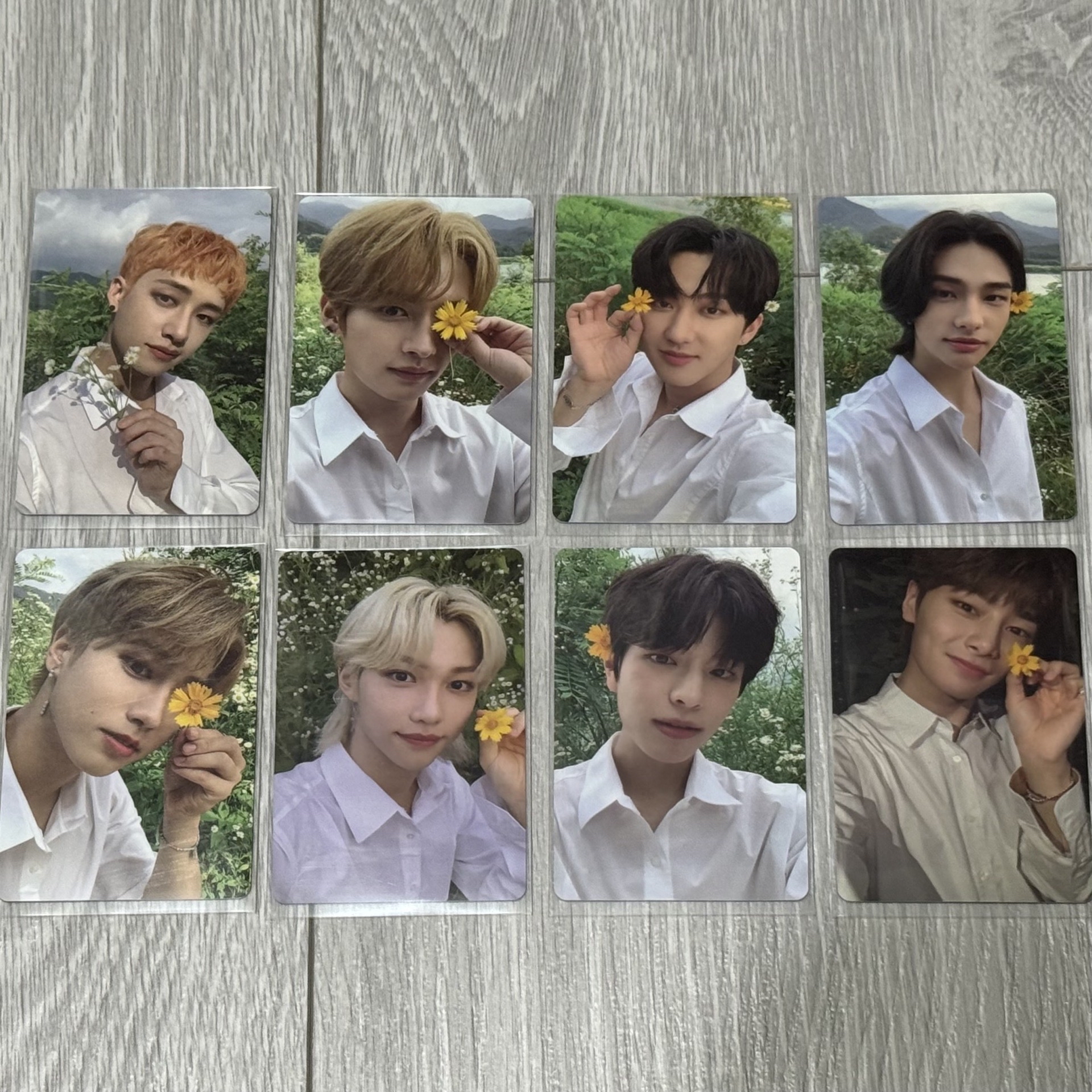 Stray Kids小卡 花卡/三期會員禮卡