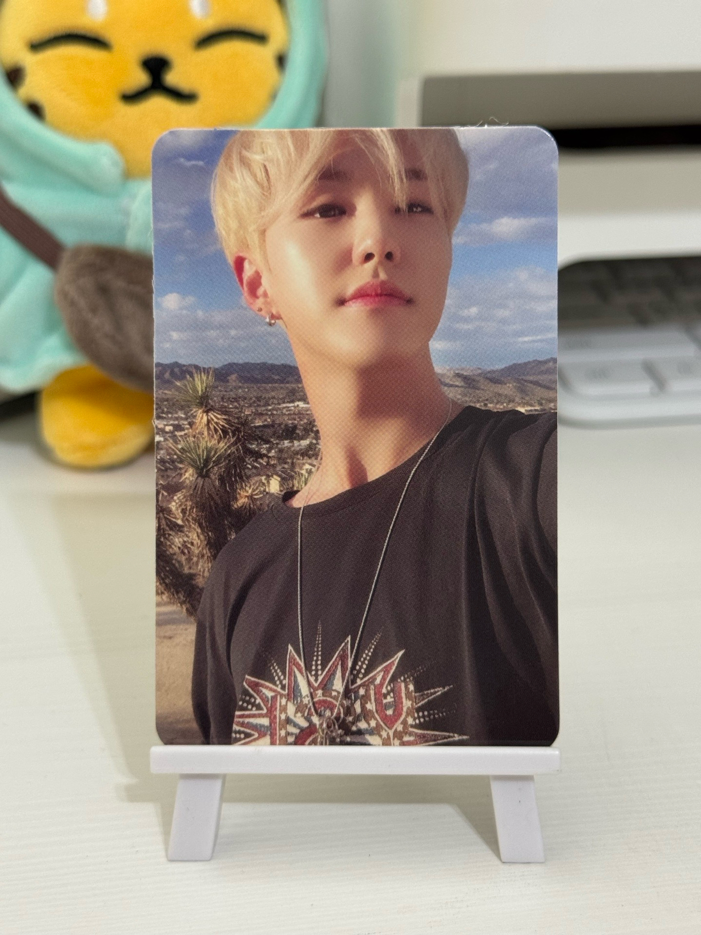 自拍不看鏡頭榮