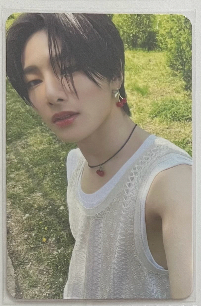 各時期小卡（含綁物）