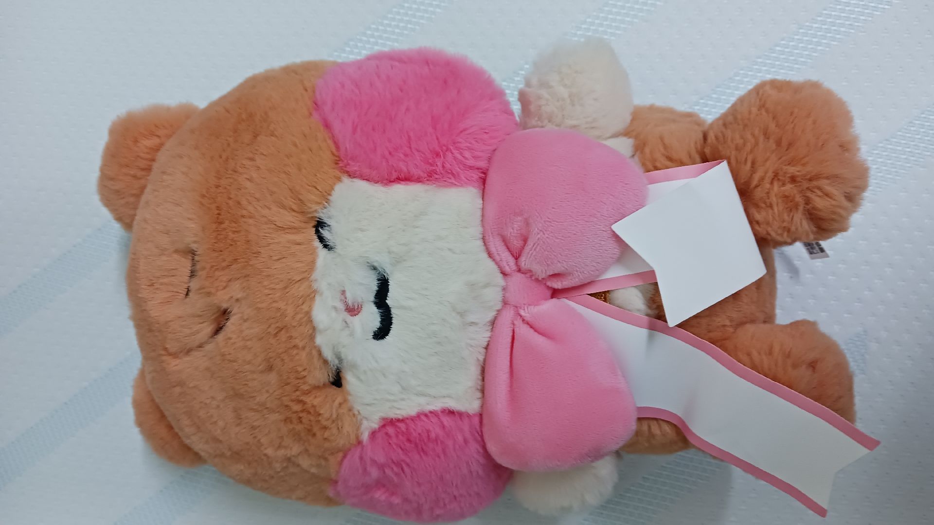 binini蝴蝶結中娃