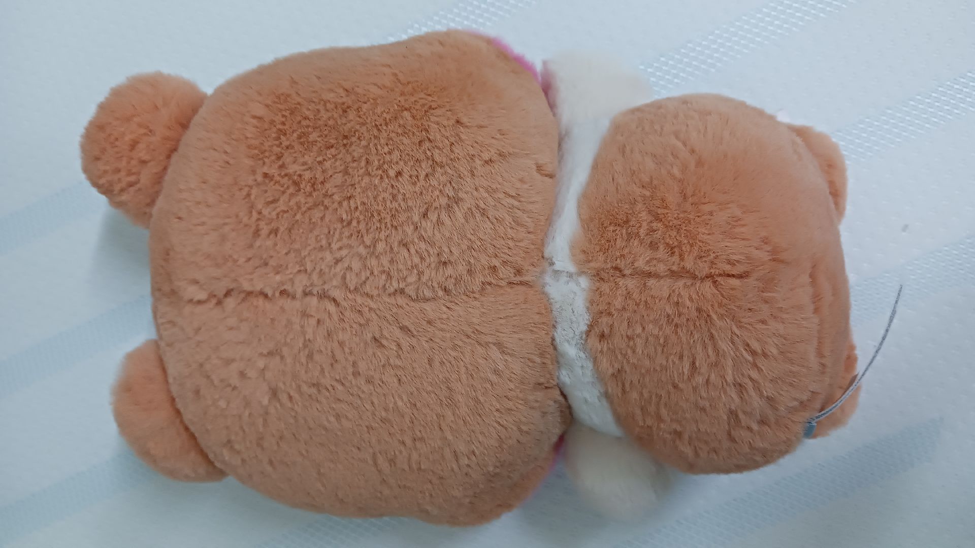 binini蝴蝶結中娃