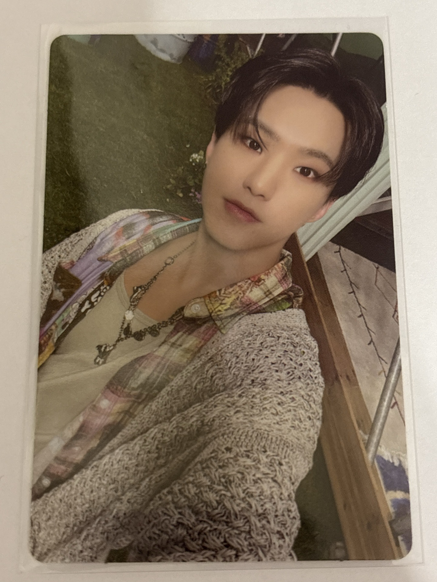 seventeen 順榮 迷11專卡