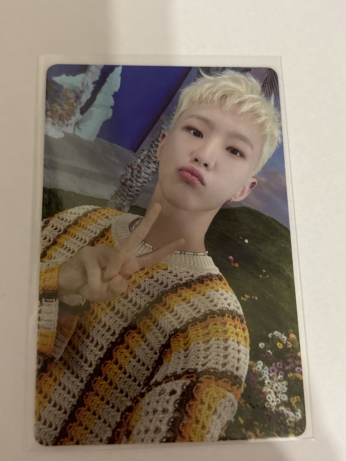 seventeen 順榮專卡