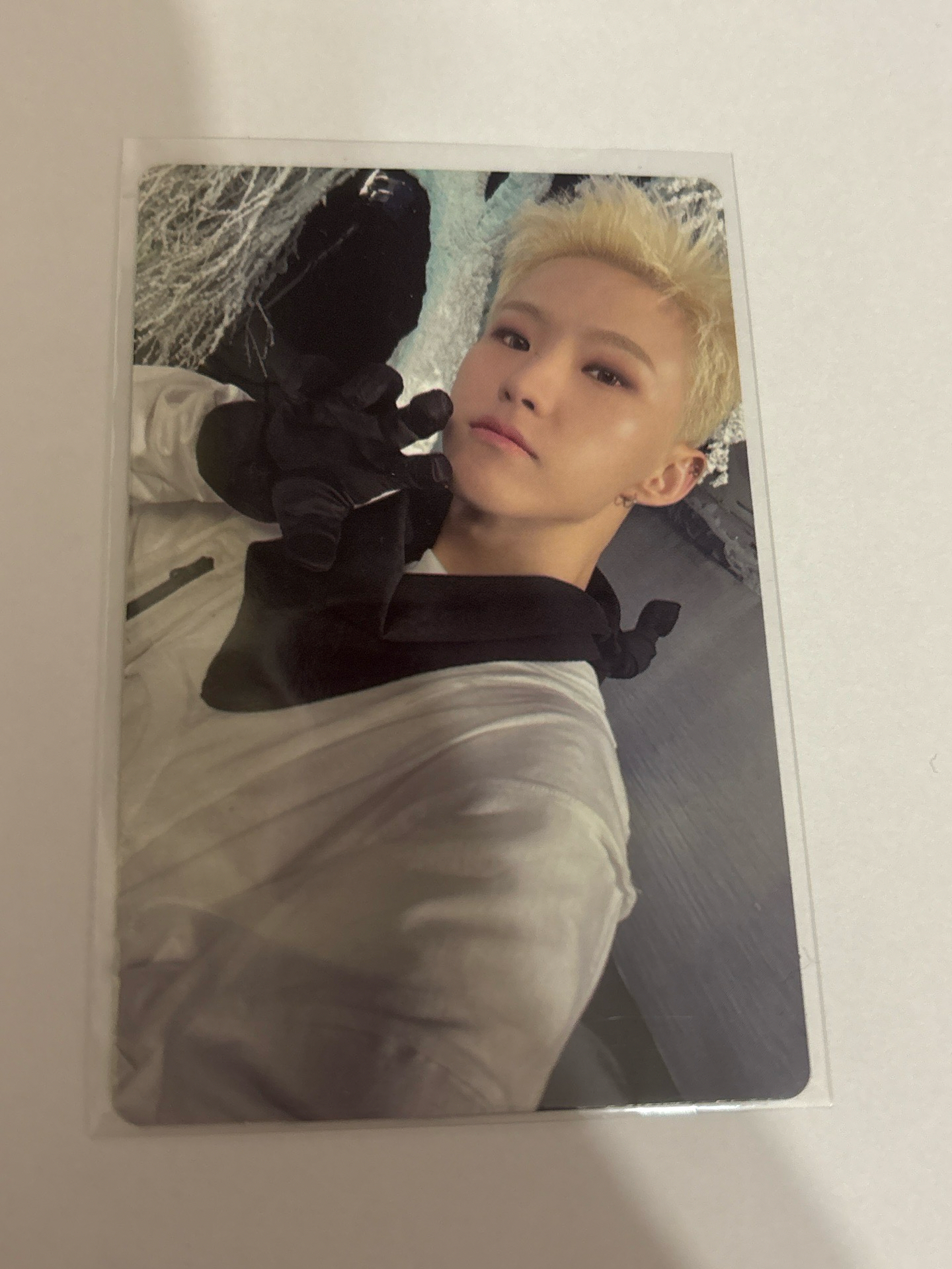 seventeen 順榮專卡