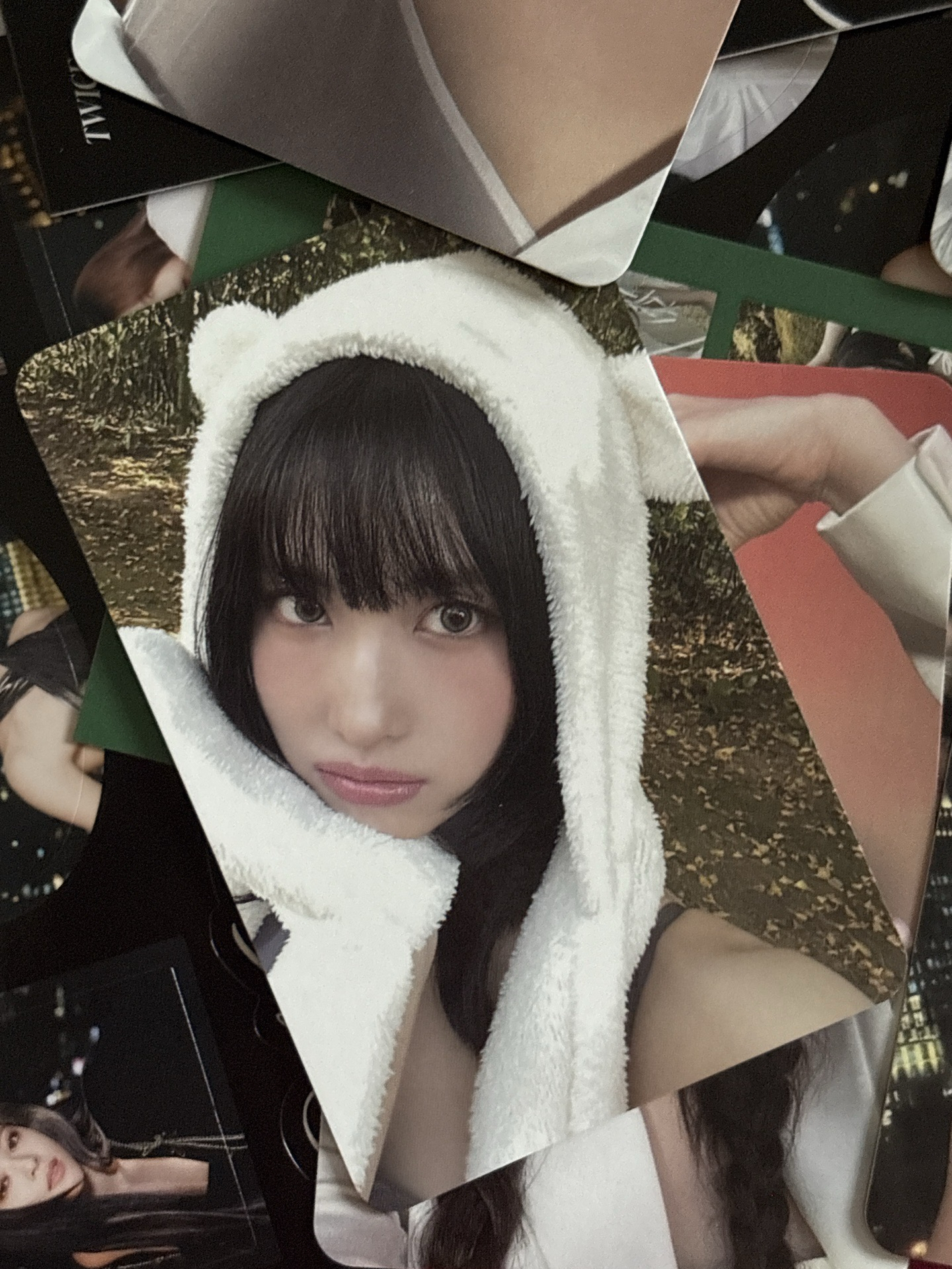 限定賣場 Momo熊帽卡