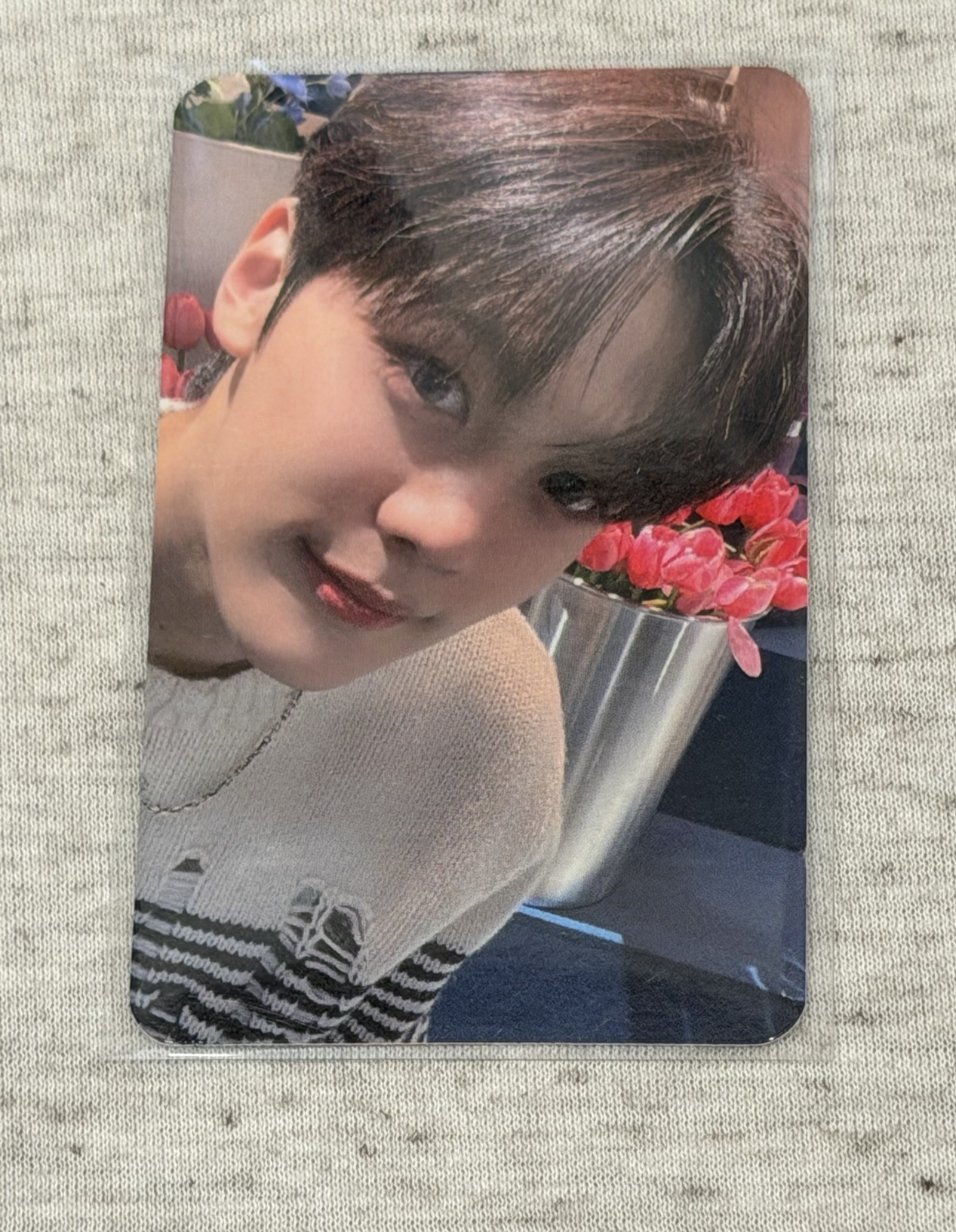 ZB1 迷一 特典卡