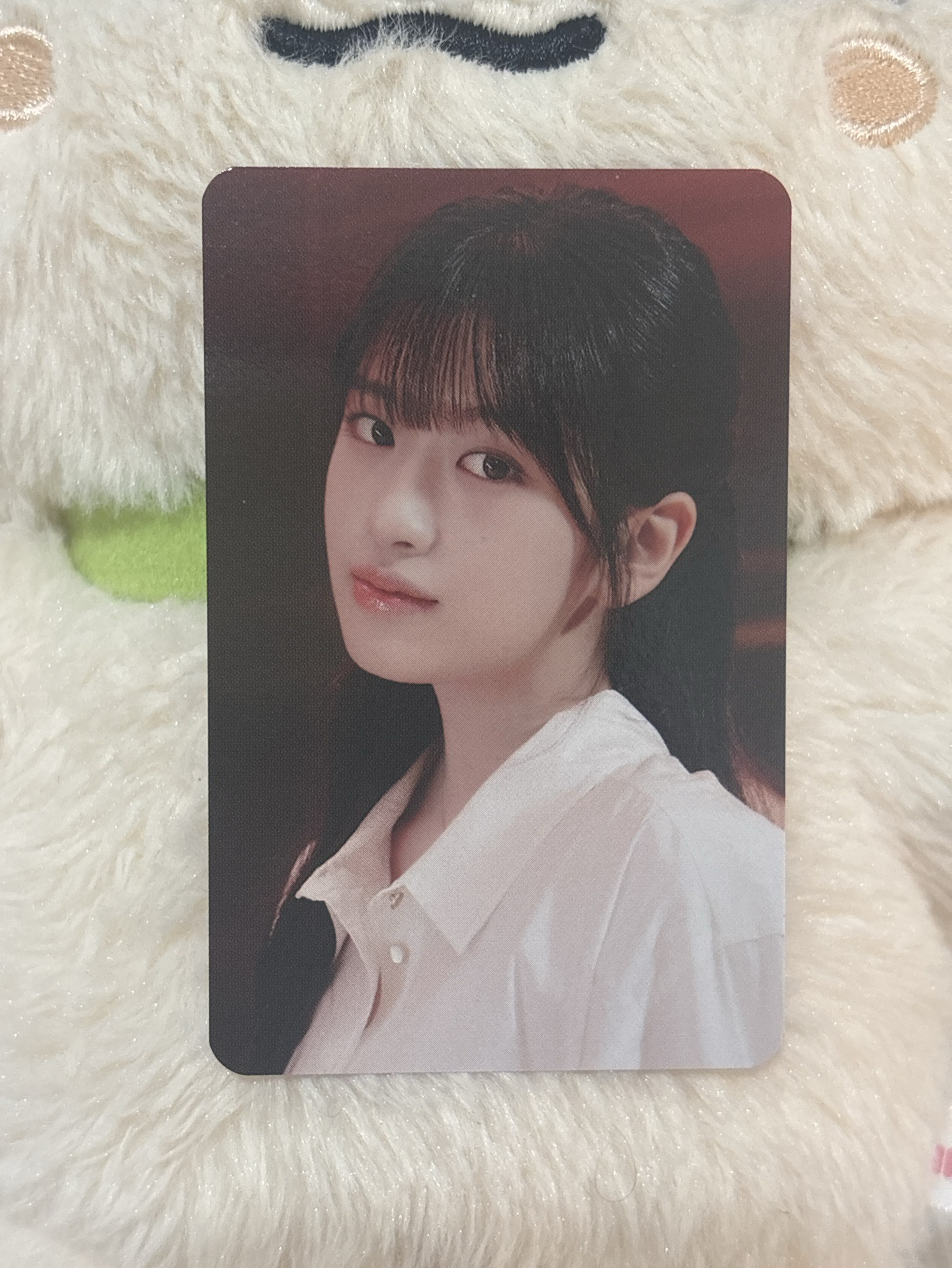 世巡隨機卡包 安