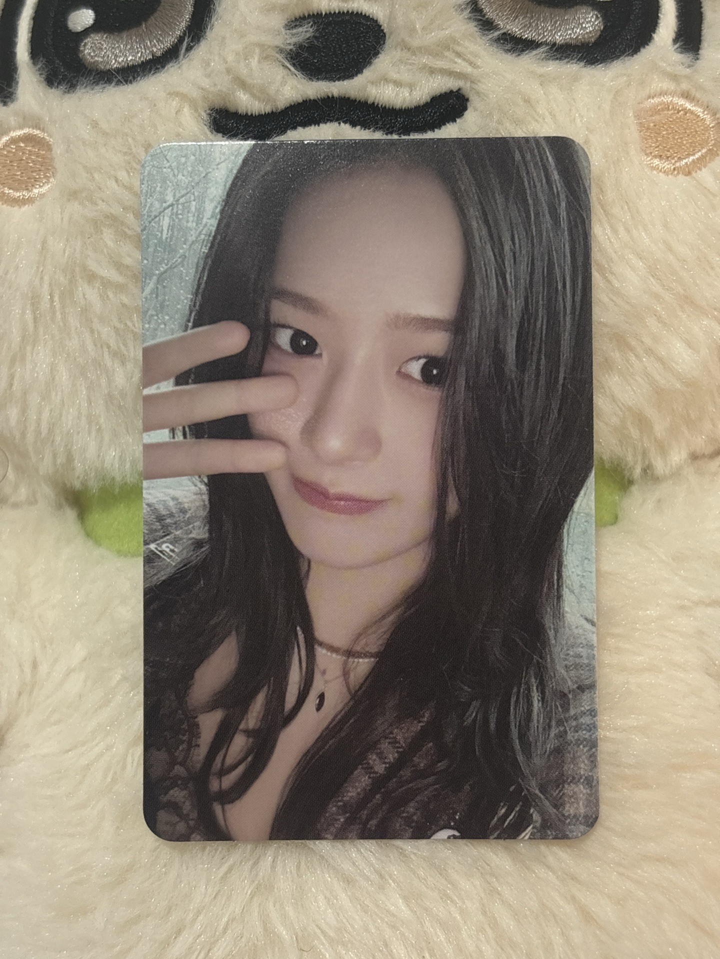 IVE EMPATHY 船特 安