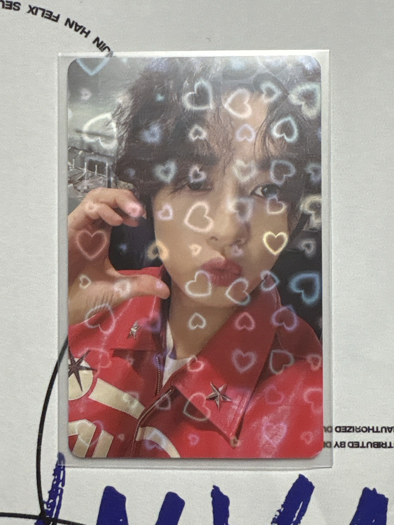 （中背）捲毛小貓是闊愛滴