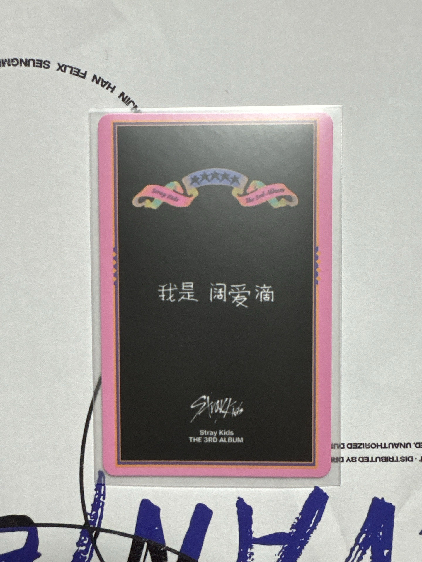 （中背）捲毛小貓是闊愛滴