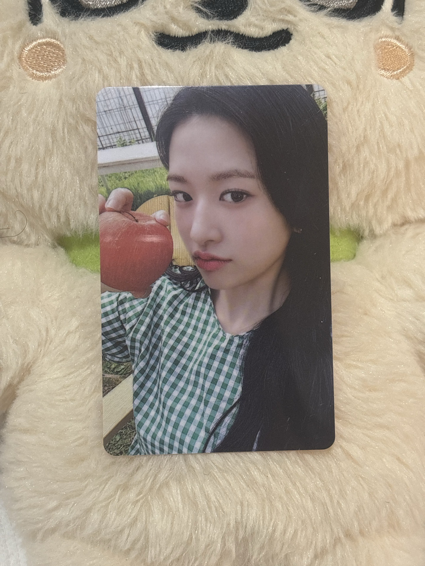 MAXIM咖啡代言卡