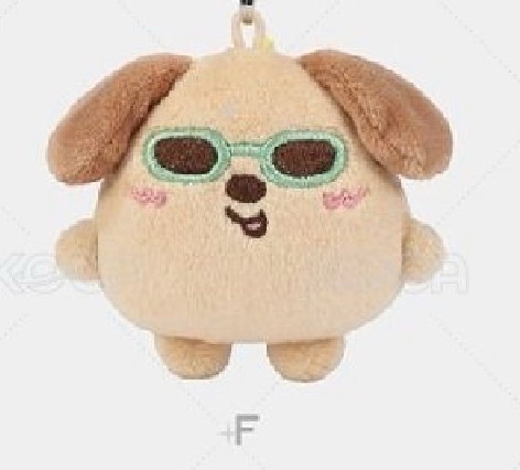 RIIZE 墨鏡曬黑娃 ANTON版