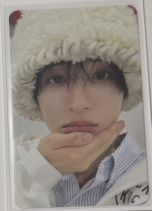 東花 迷一 專輯卡 lookbook ver.   