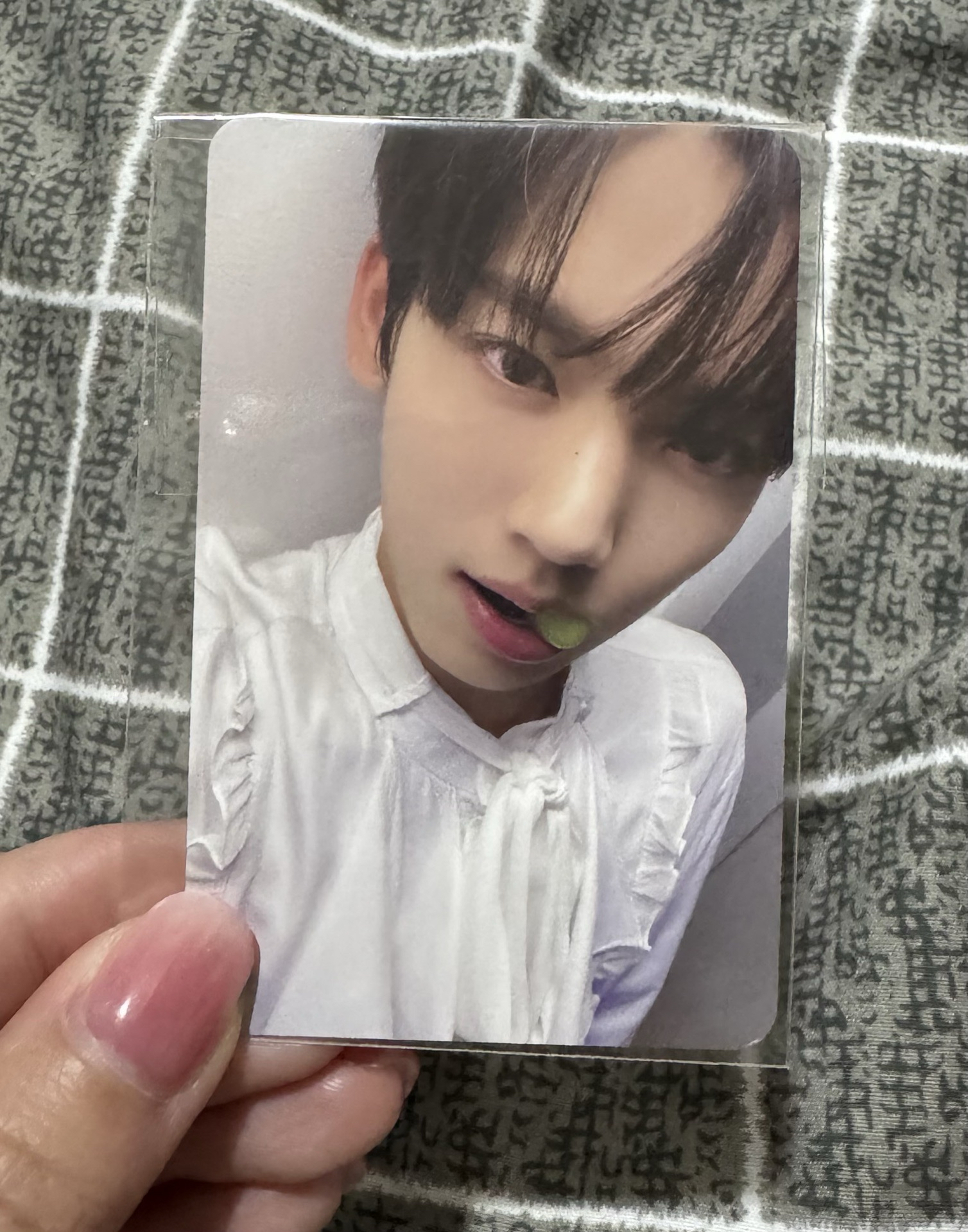 ZB1 快閃店 護照辰