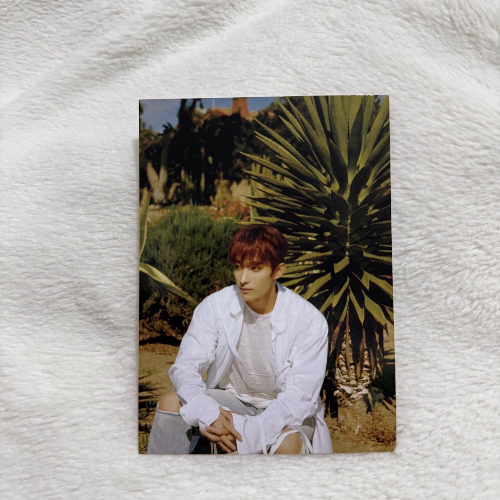 迷7 KIT專 明信片