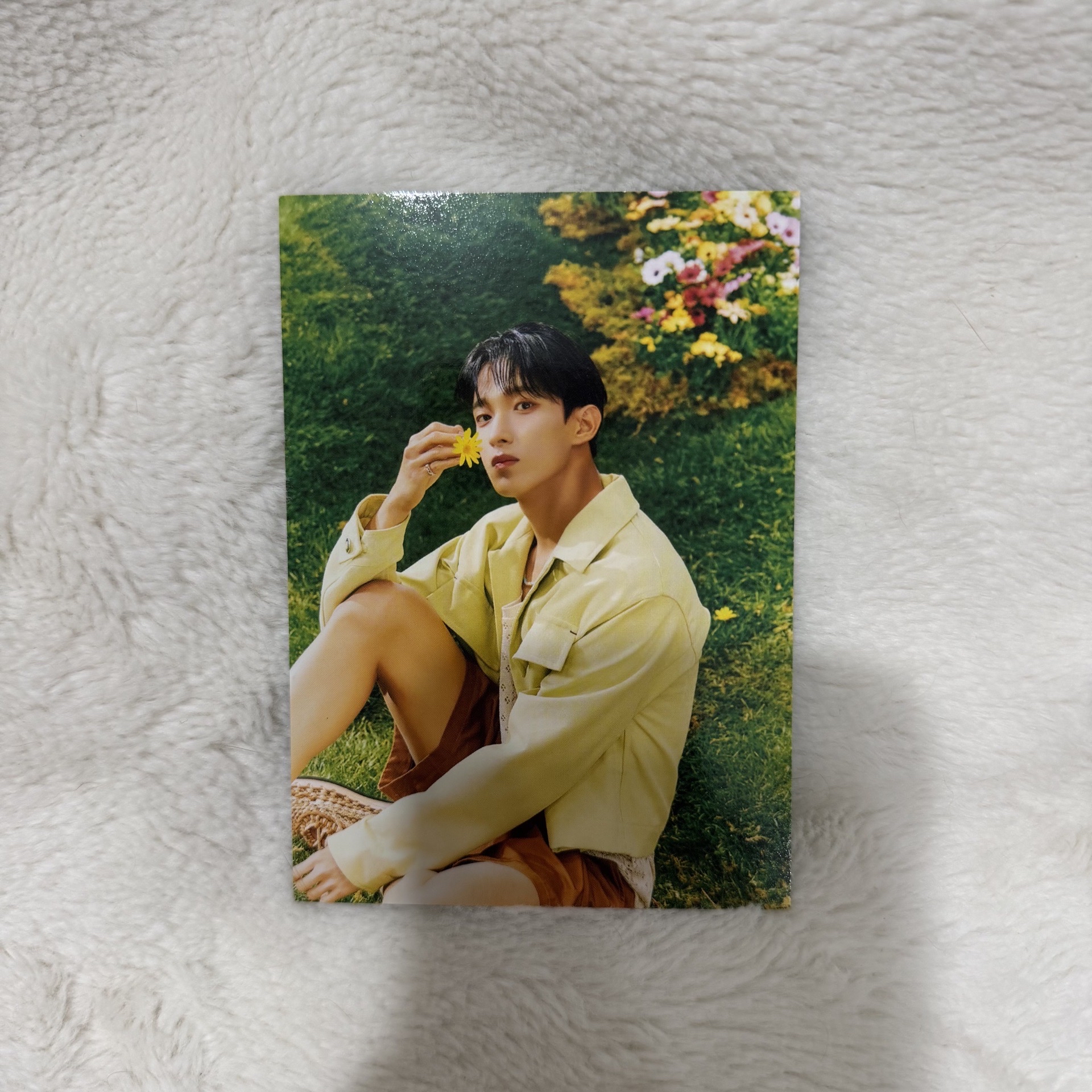 正四後續 KIT專 明信片