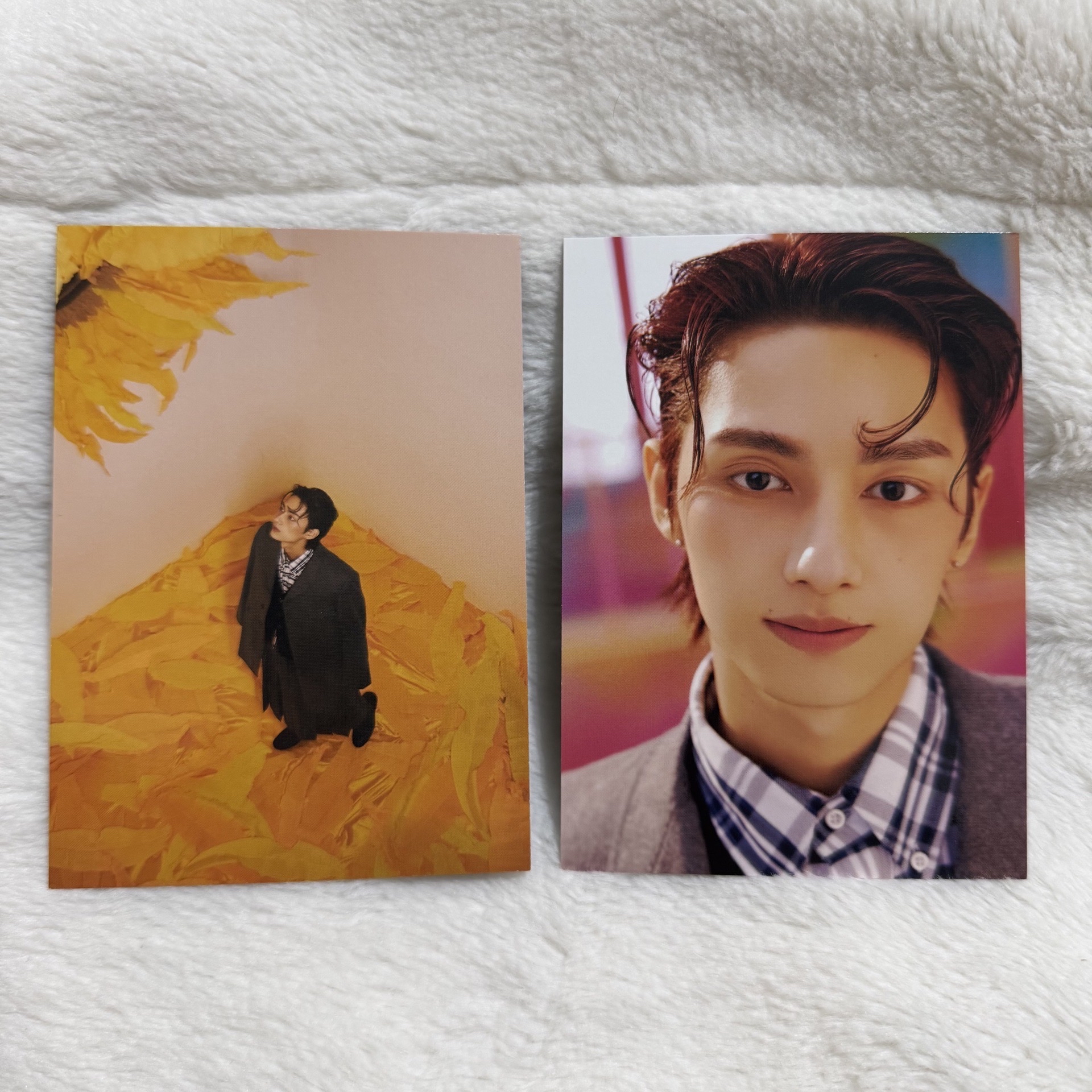 精選專 KIT專 明信片