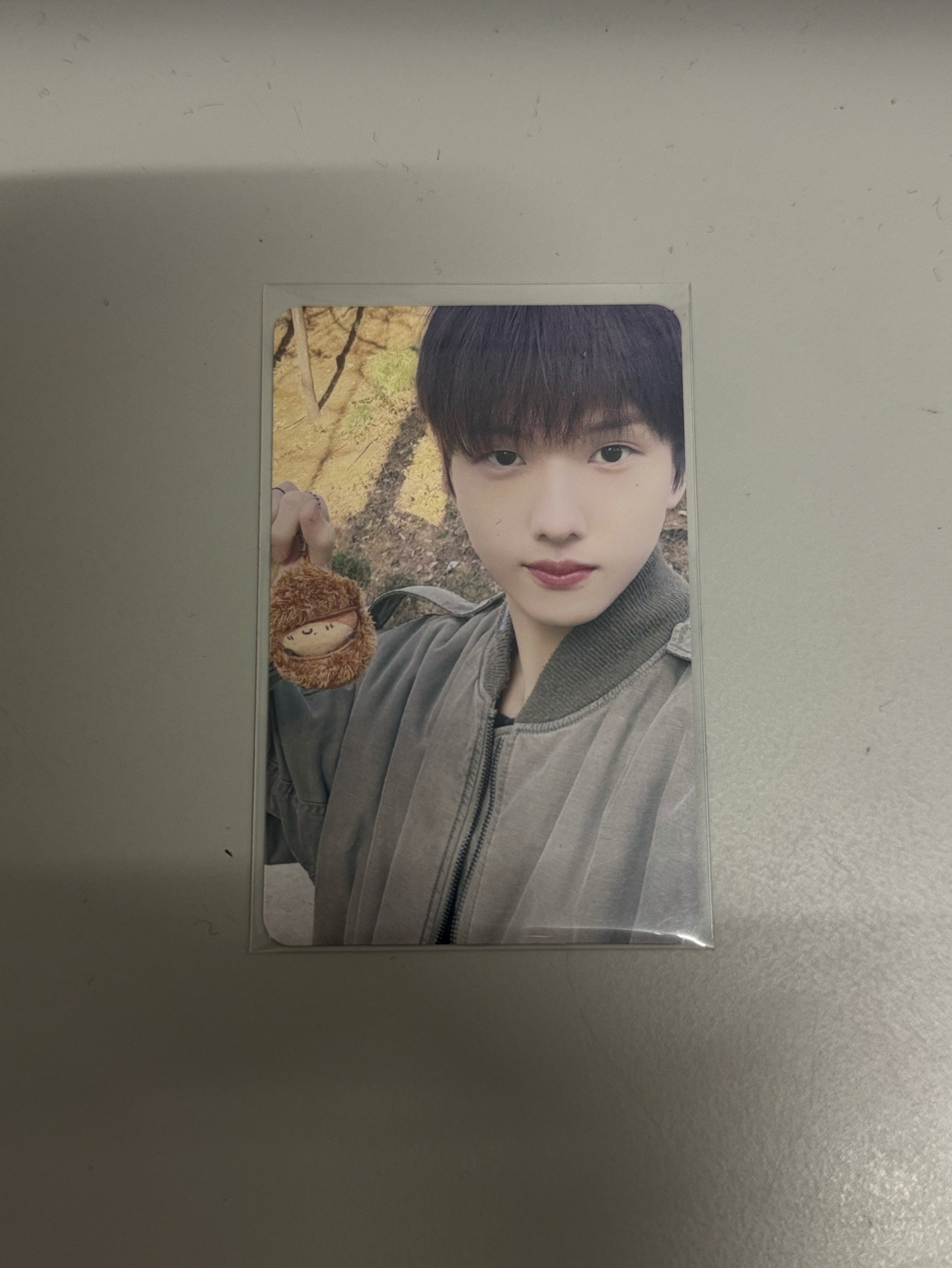 NCTDREAM 志晟小卡 