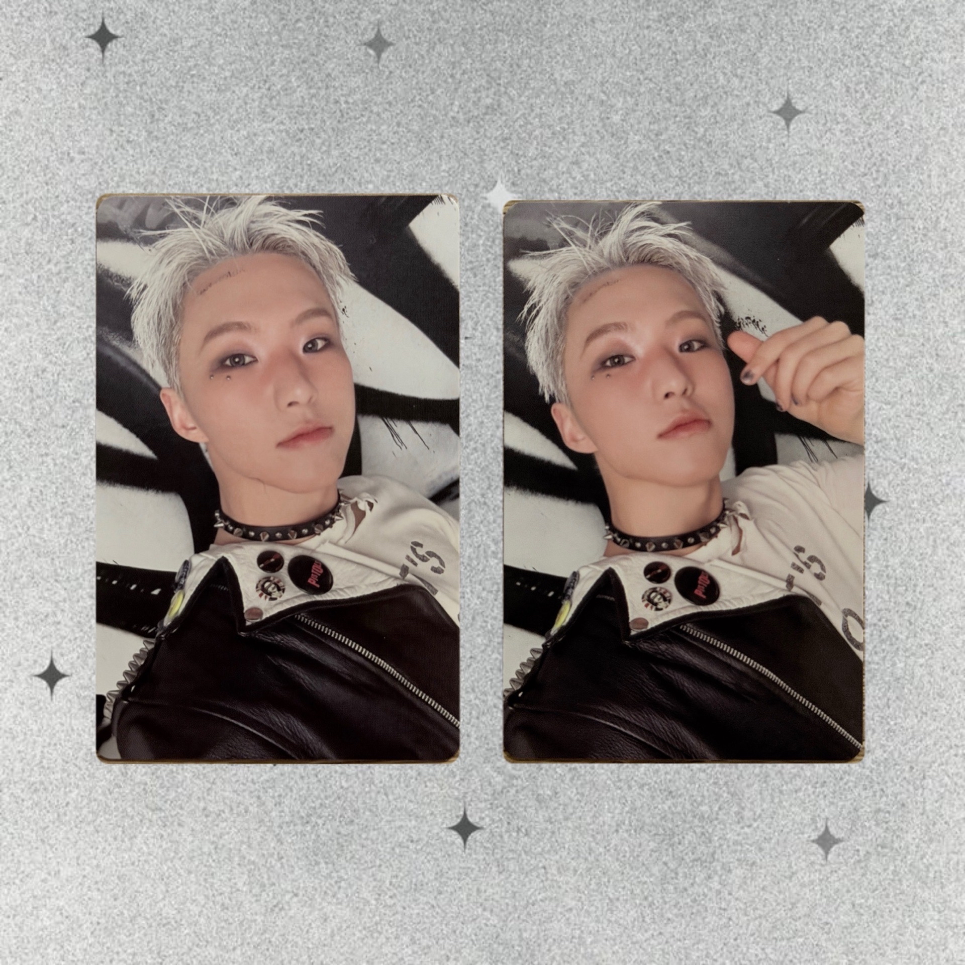 🐯Hoshi / 正規五 CARAT ver. 專卡 🧩