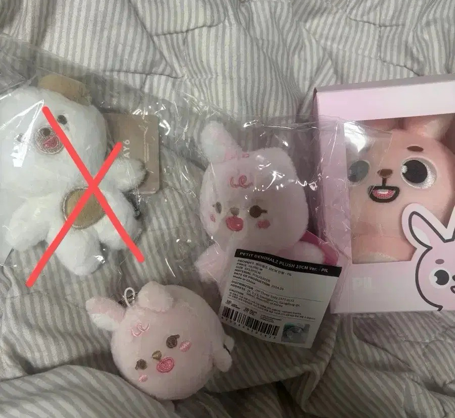 DAY6 PIL小盤 趴娃+10cm+24ver.