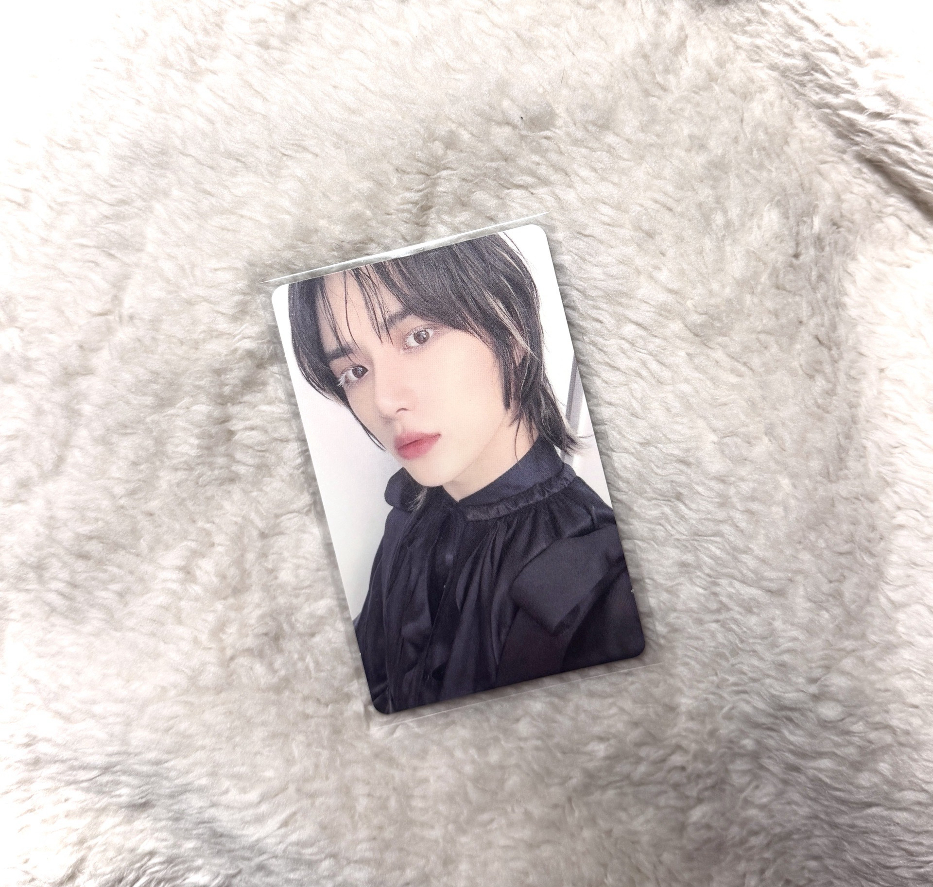 崔杋圭 白睫毛圭