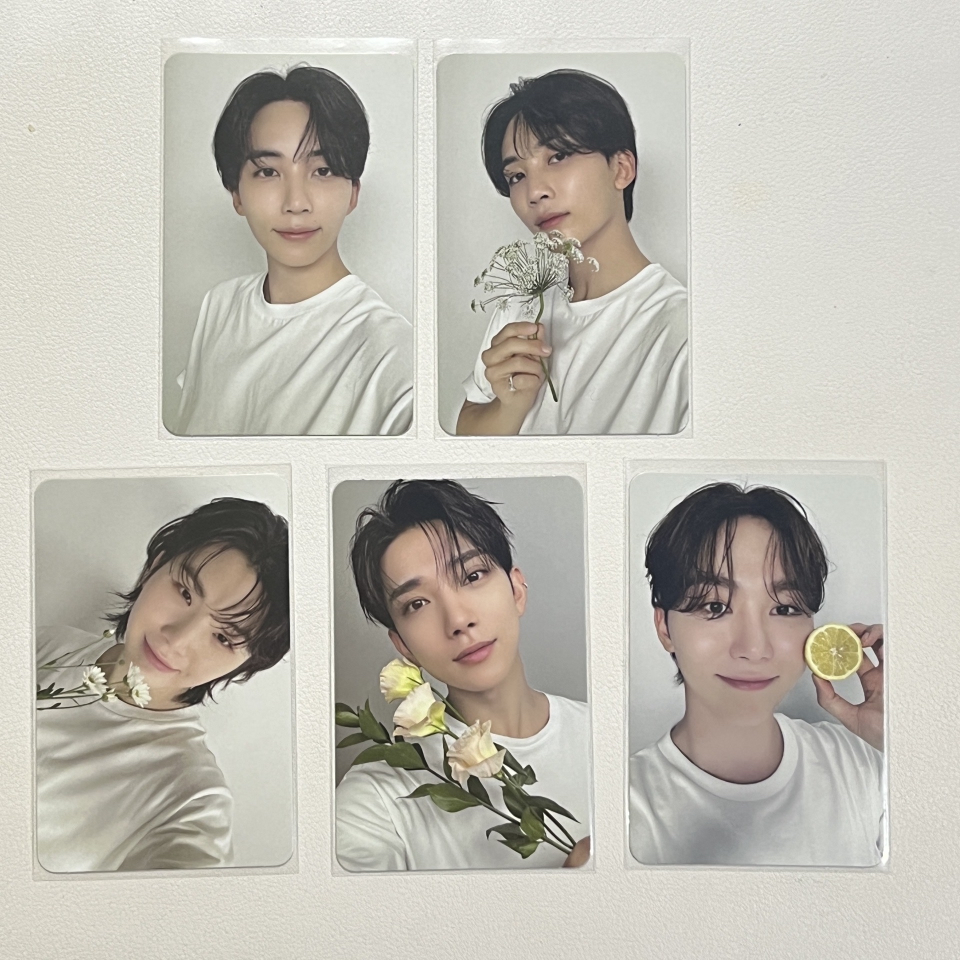 精選專 親愛盤 小卡｜CARAT ver.