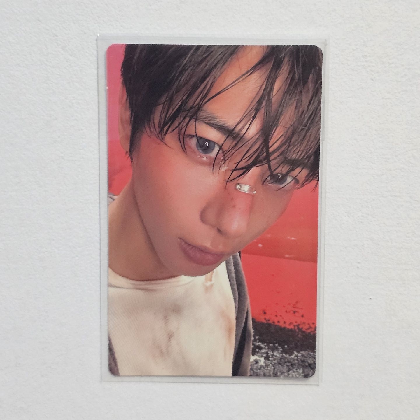 太顯 正四 wvs特典 （含立牌）