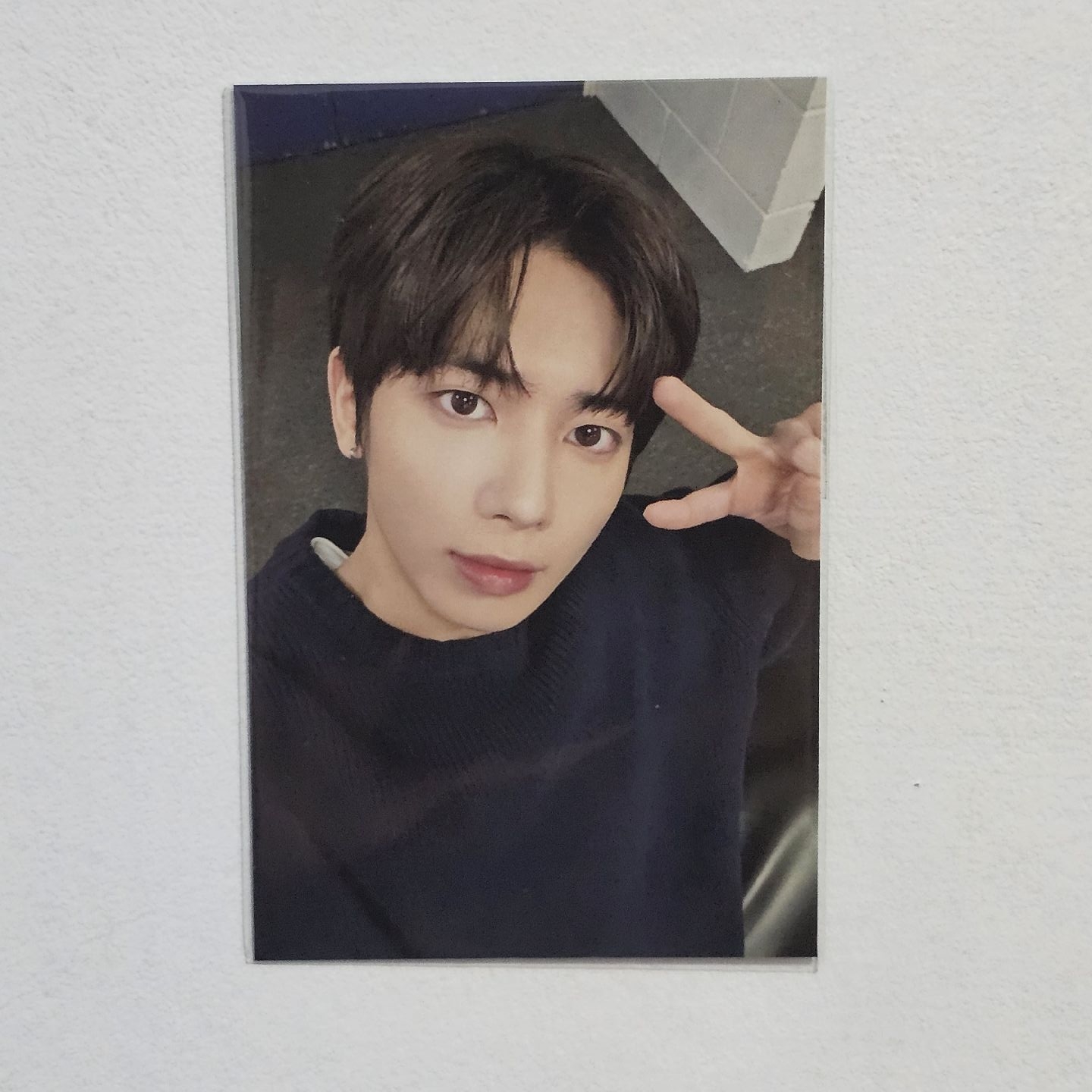 太顯 Finding Moa 滿額卡