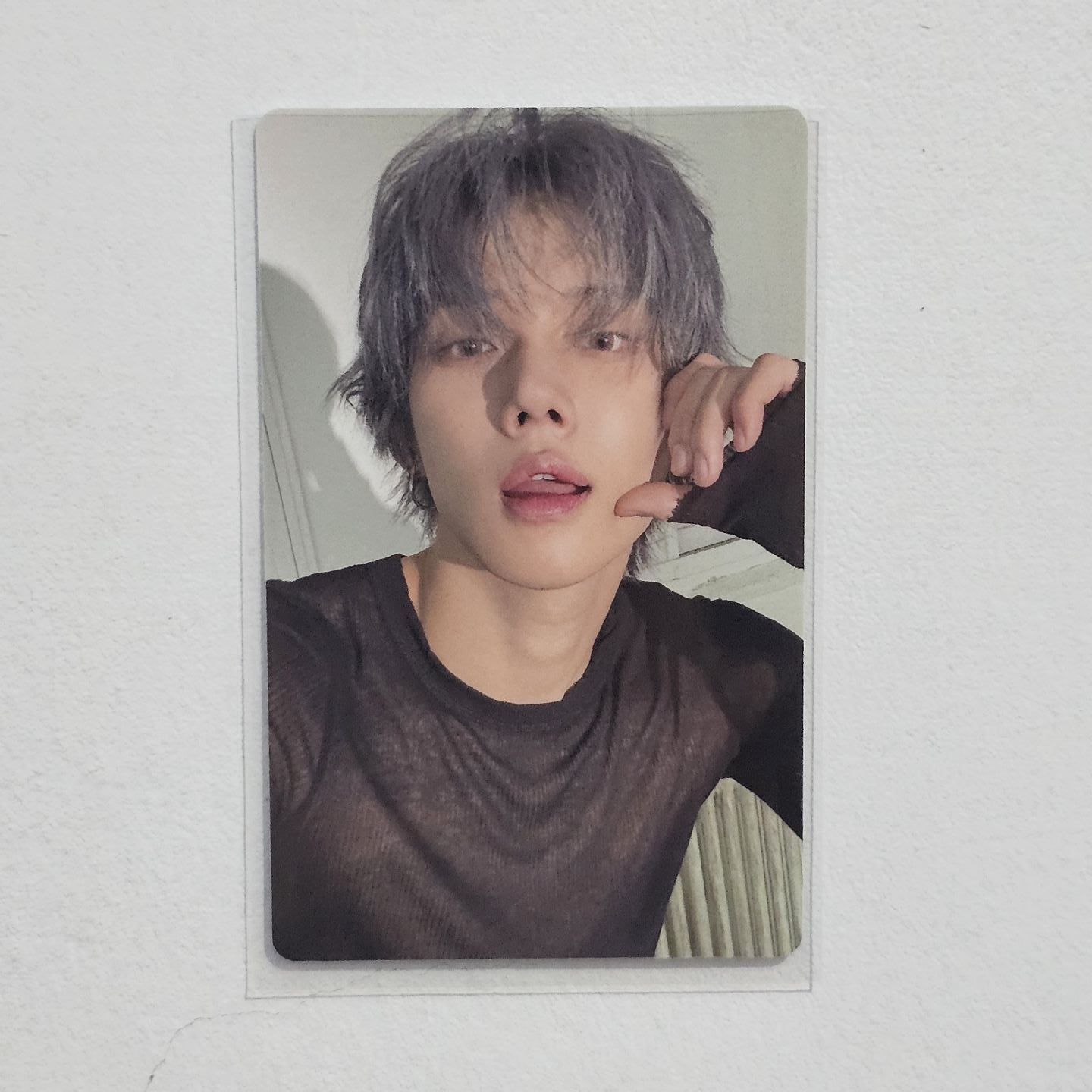 然竣 NO LABELS wvs 特典卡 