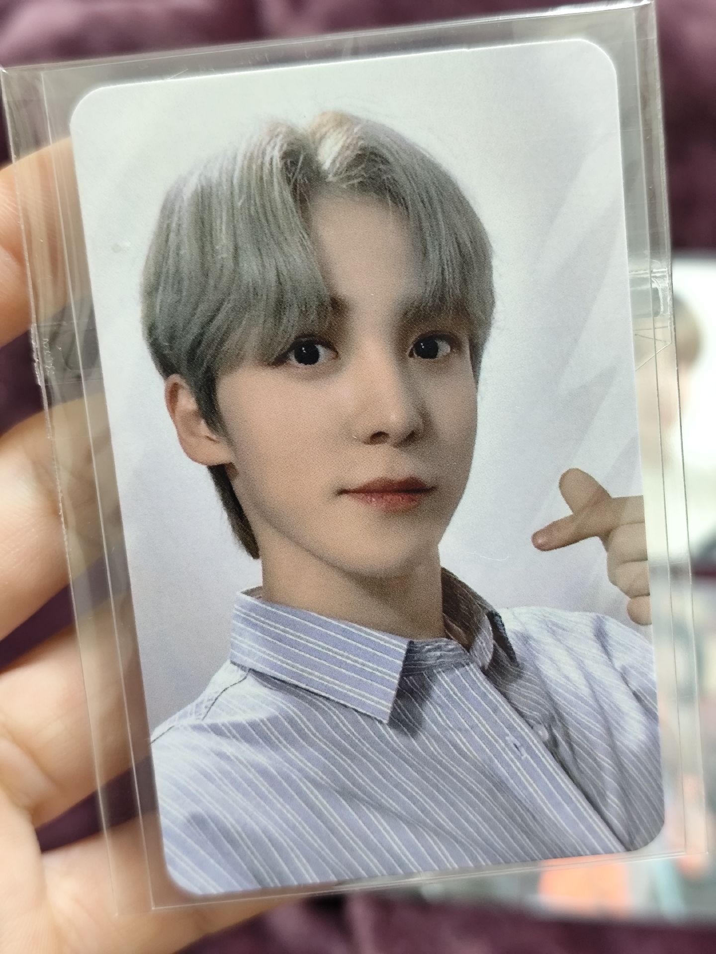 🐶🐶盤 古早時期專卡/特典卡/中籤卡