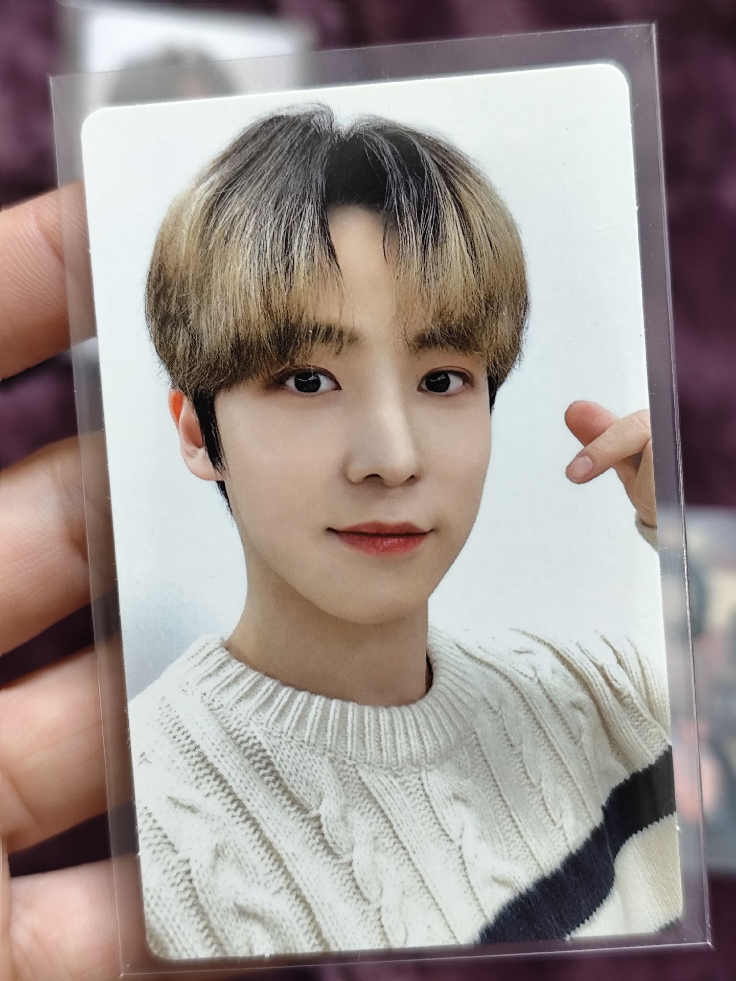 🐶🐶盤 古早時期專卡/特典卡/中籤卡