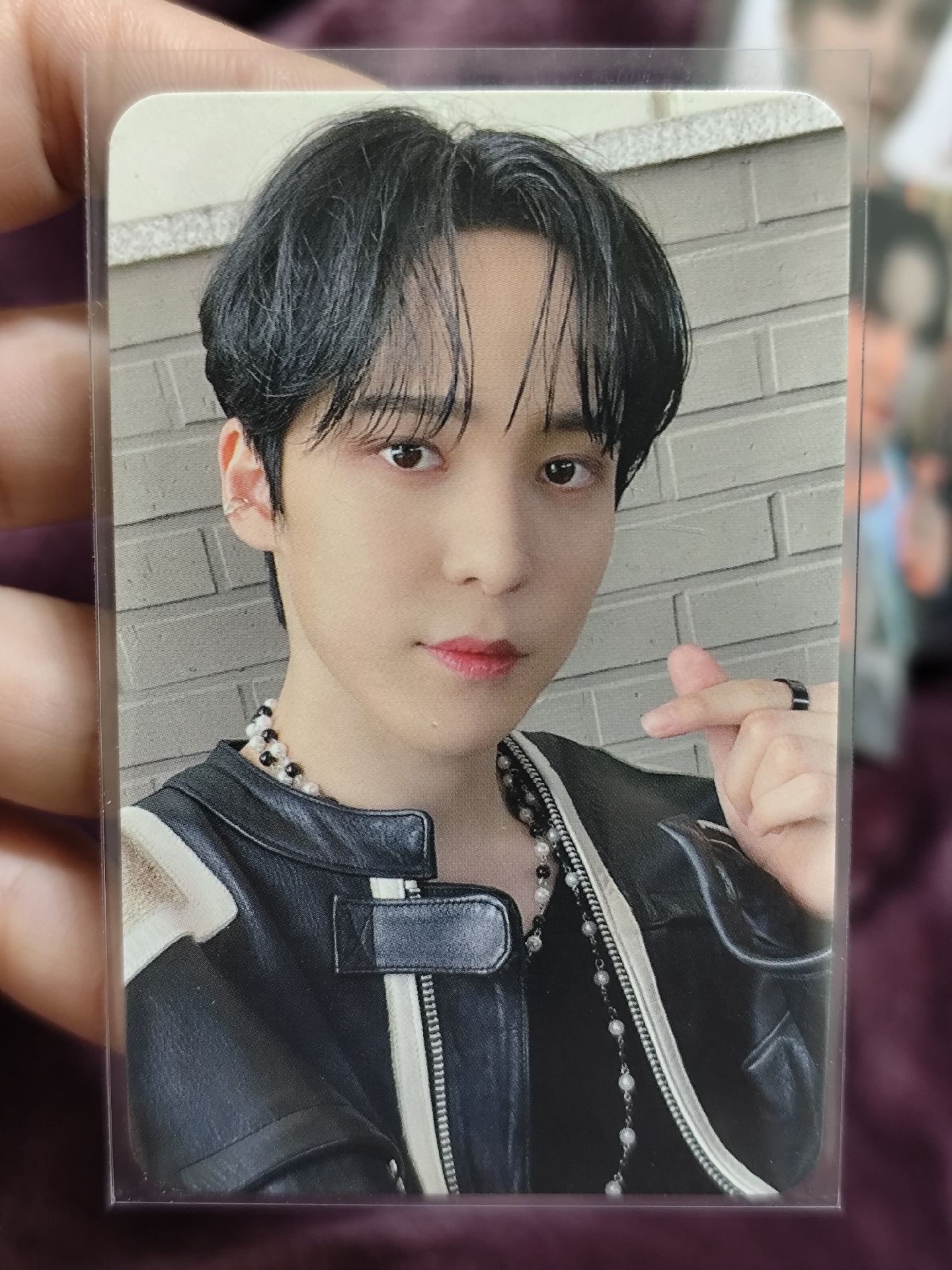 🐶🐶盤 古早時期專卡/特典卡/中籤卡