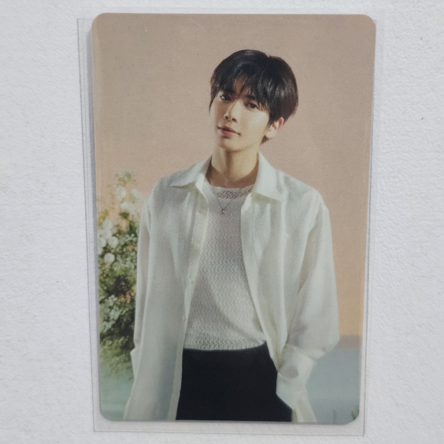 太顯 25日巡 隨機卡