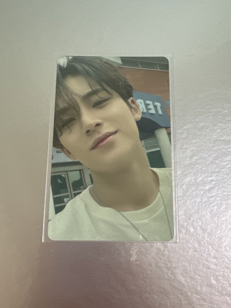 金珉奎 sector 17 特典 鼻尖痣奎