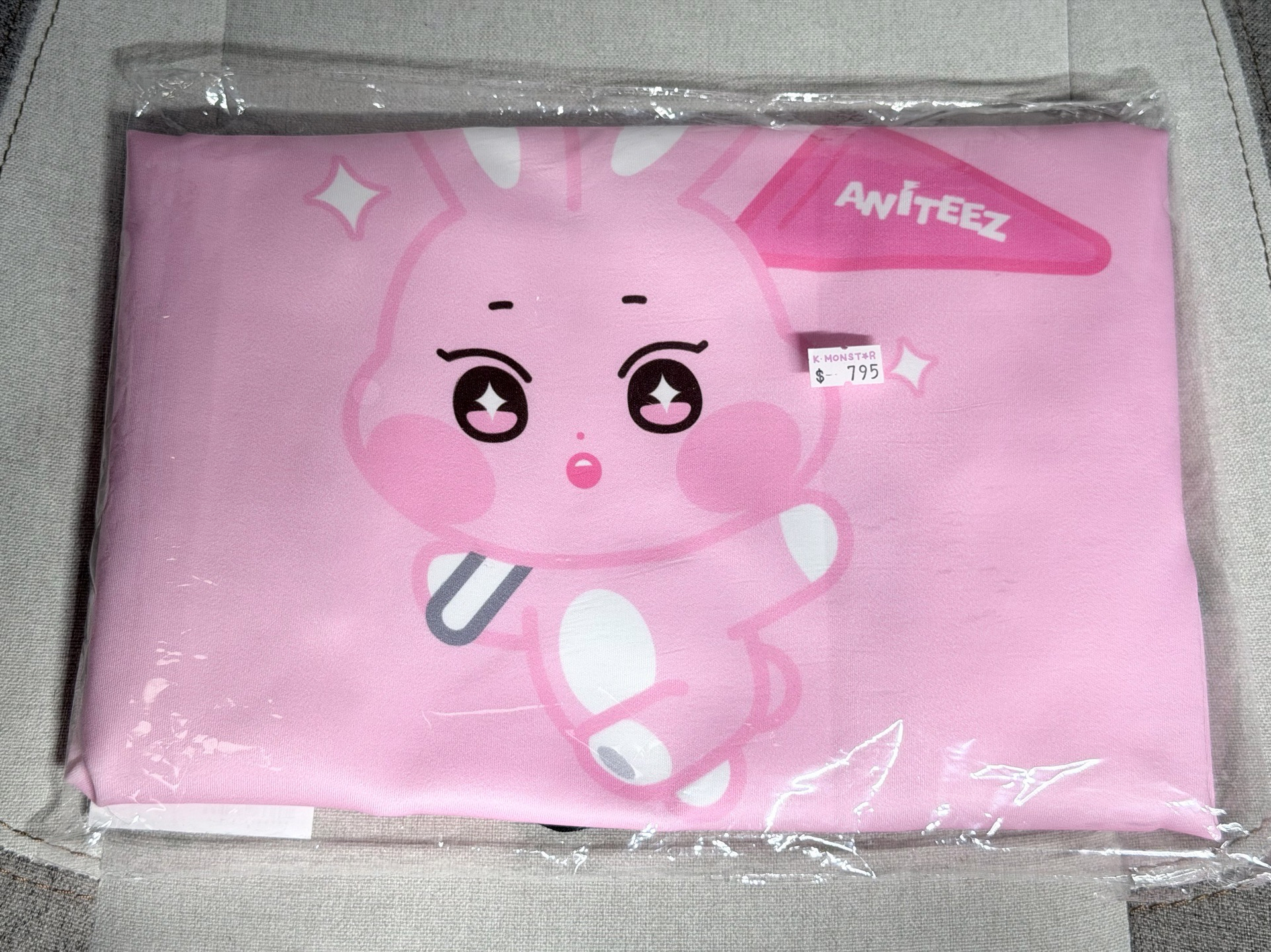 ANITEEZ IN THE CALLING 咚星行李箱套