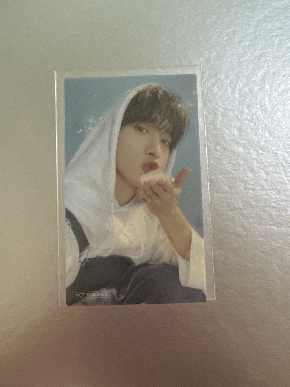 泡泡碩 環球特典