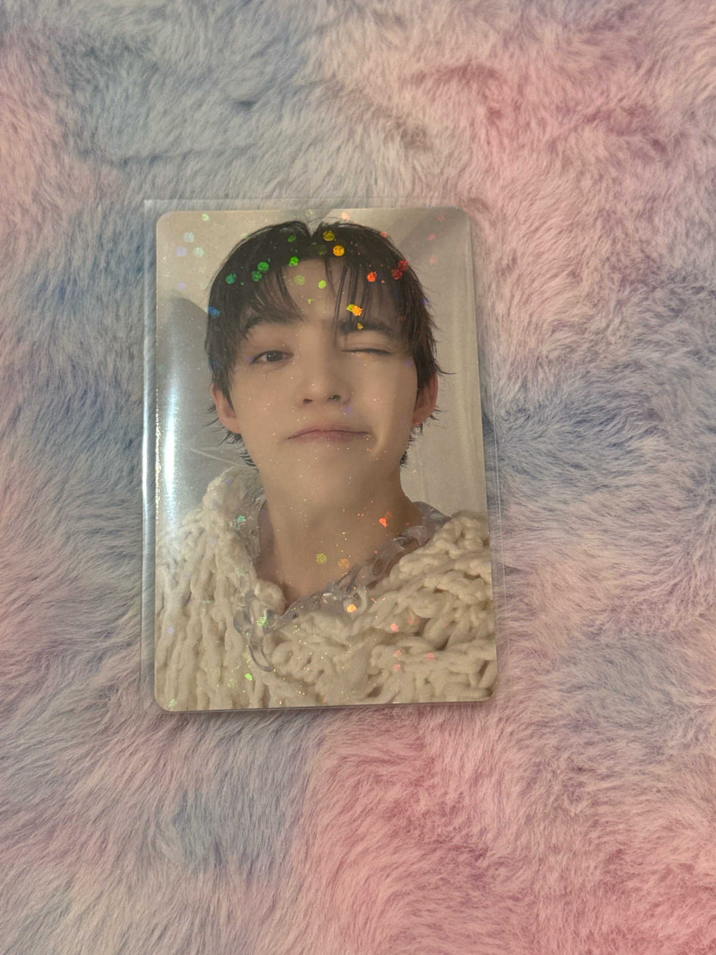 正五 Wvsjp 特典 哲