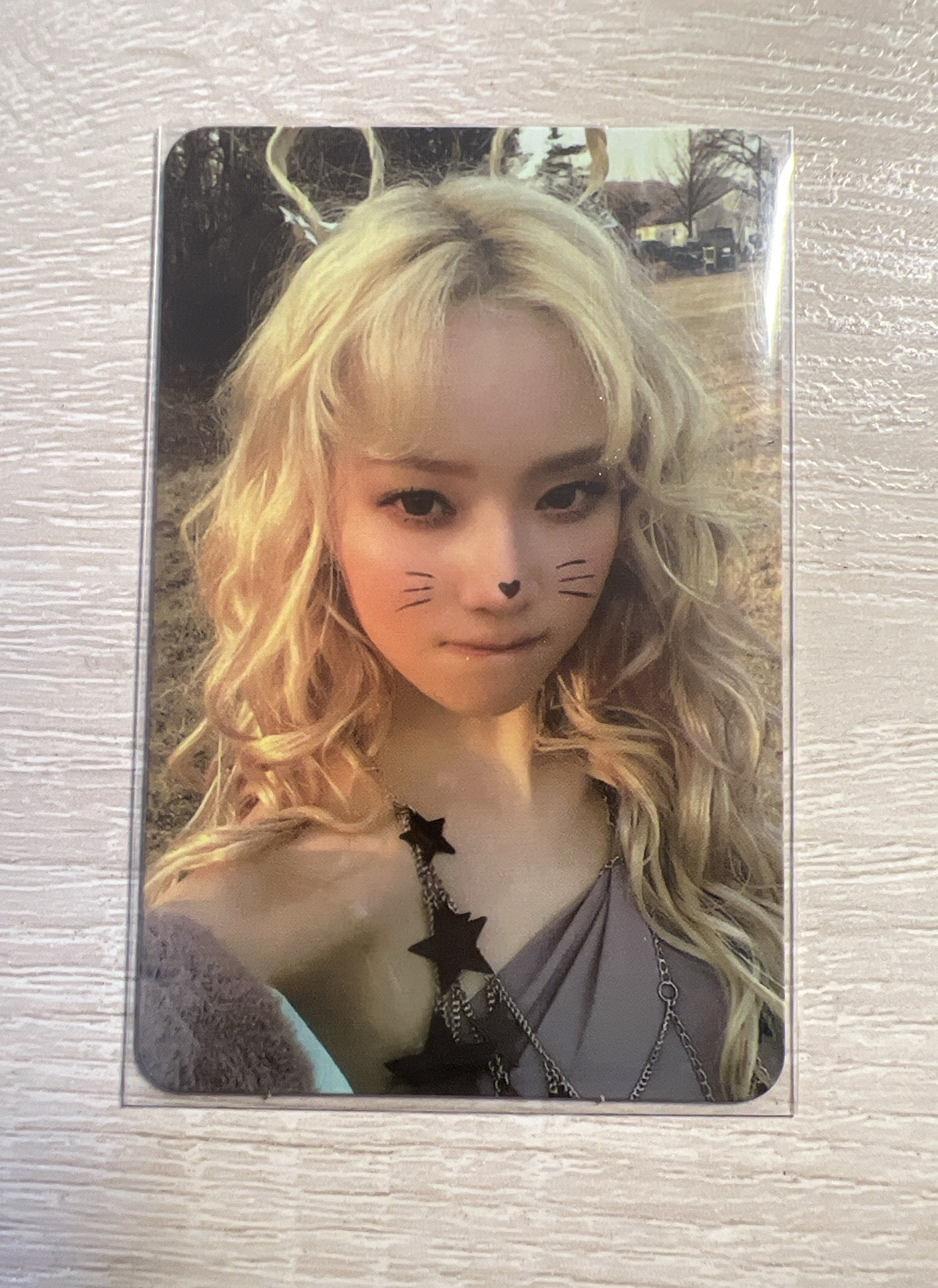 正規一 專卡 ZINE版冬 貓咪冬