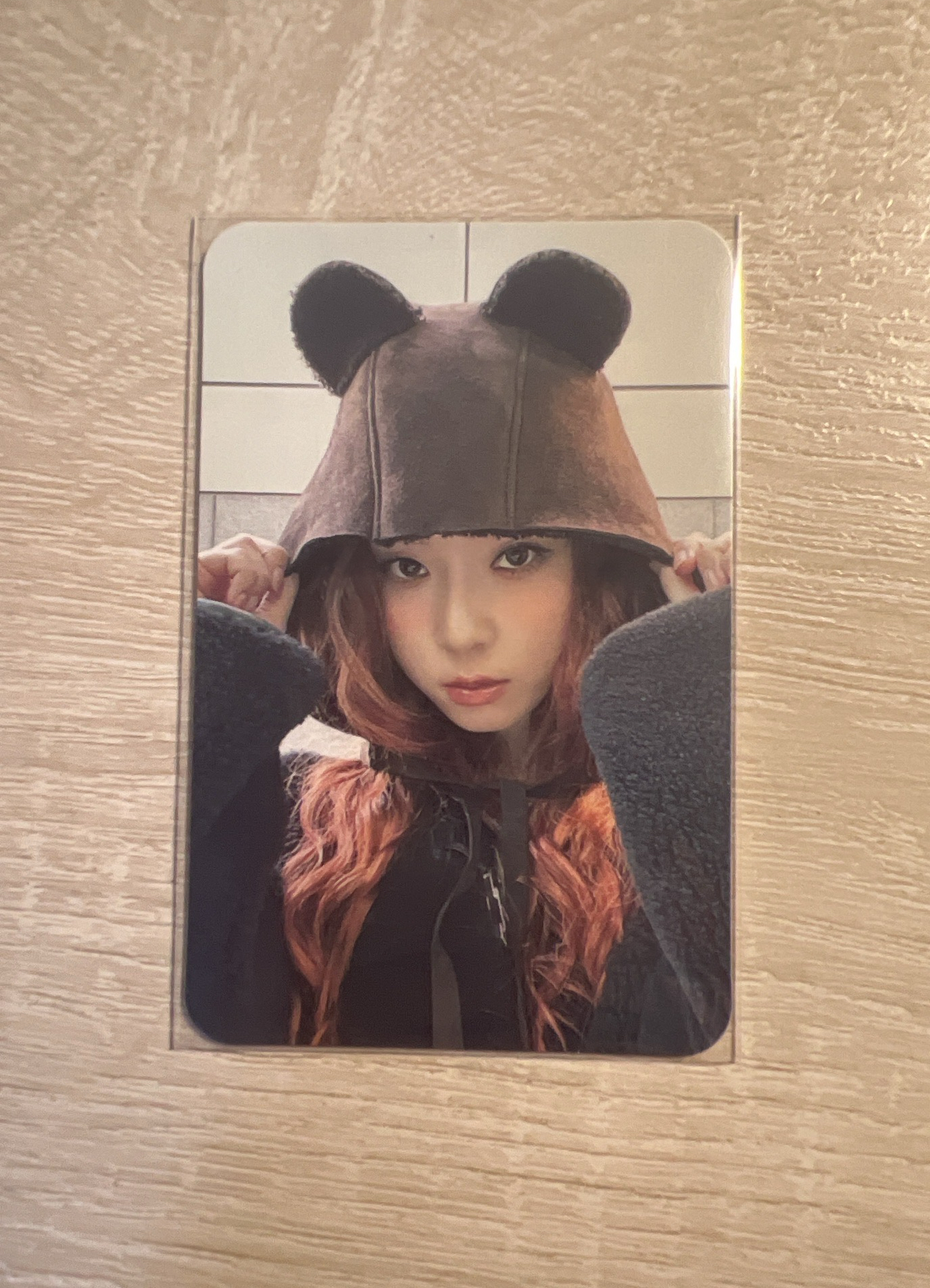 Drama KMStore 特典卡 蝦皮預售冬 小熊冬