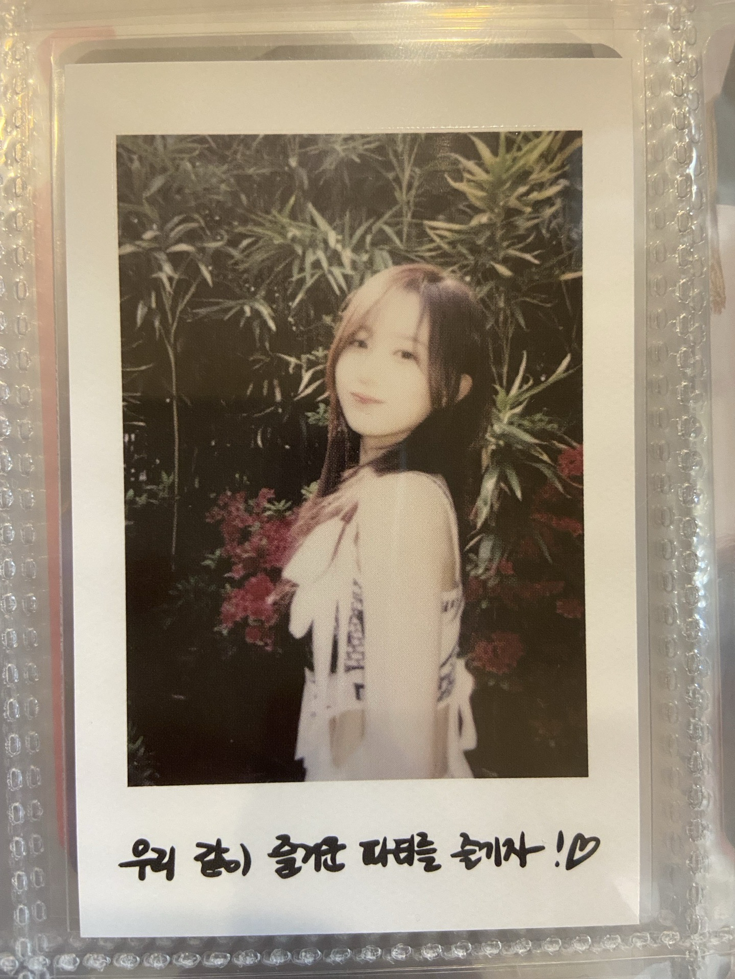 NMIXX 仲夏夜拍立得 嫄裴