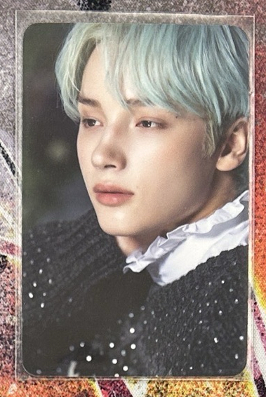 d社 薄荷頭側顏