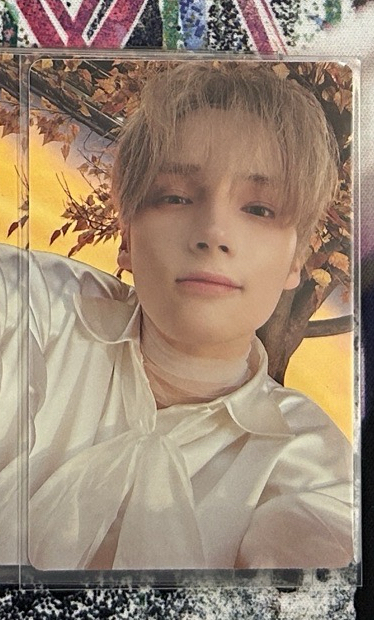 迷你六 單封 美人注視