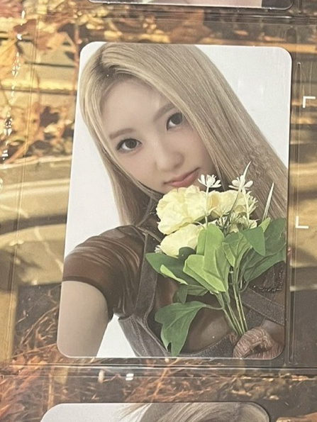 oy 特典 多帶一張