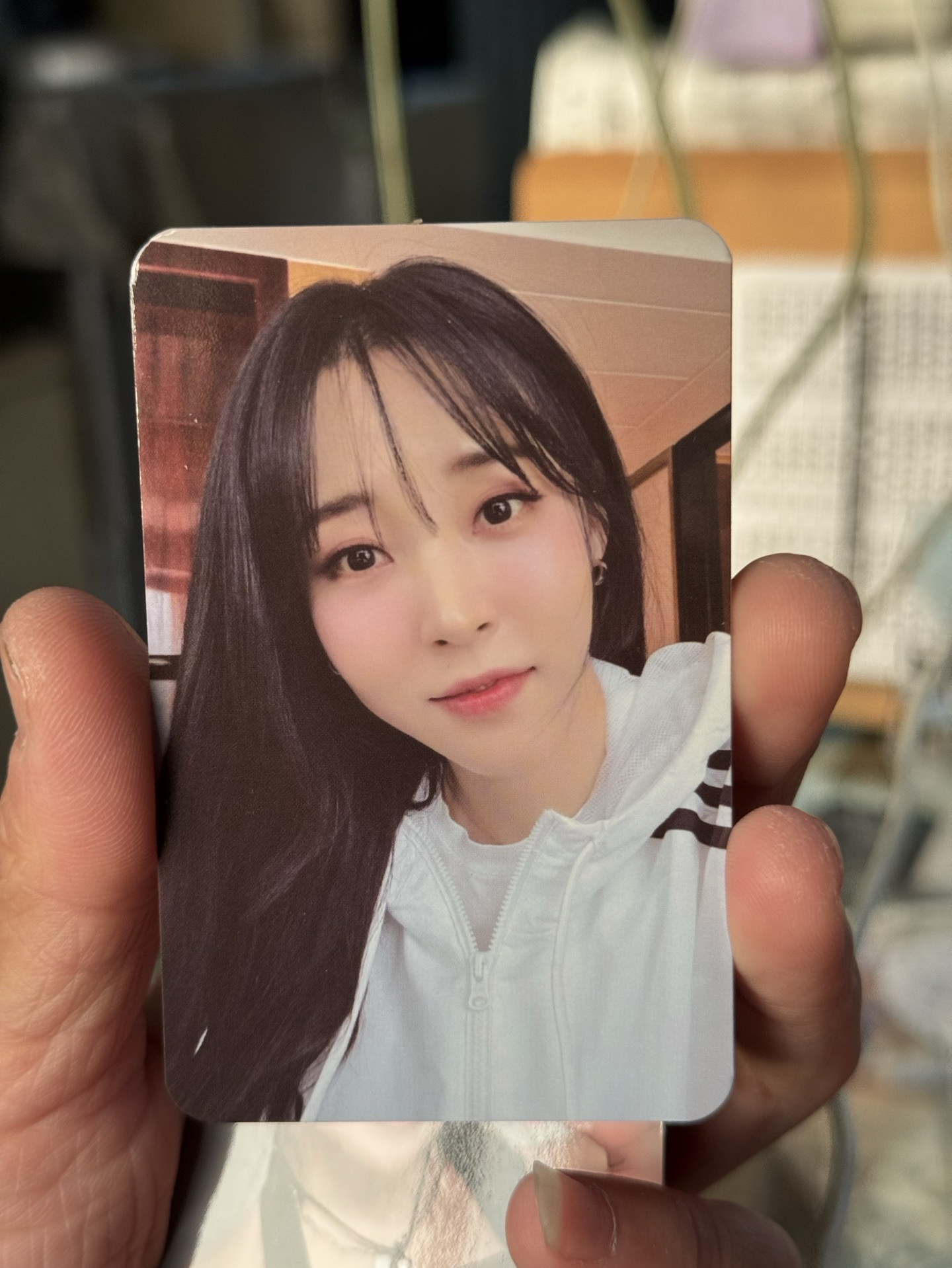 2025 K-WONDER CONCERT拼盤小卡