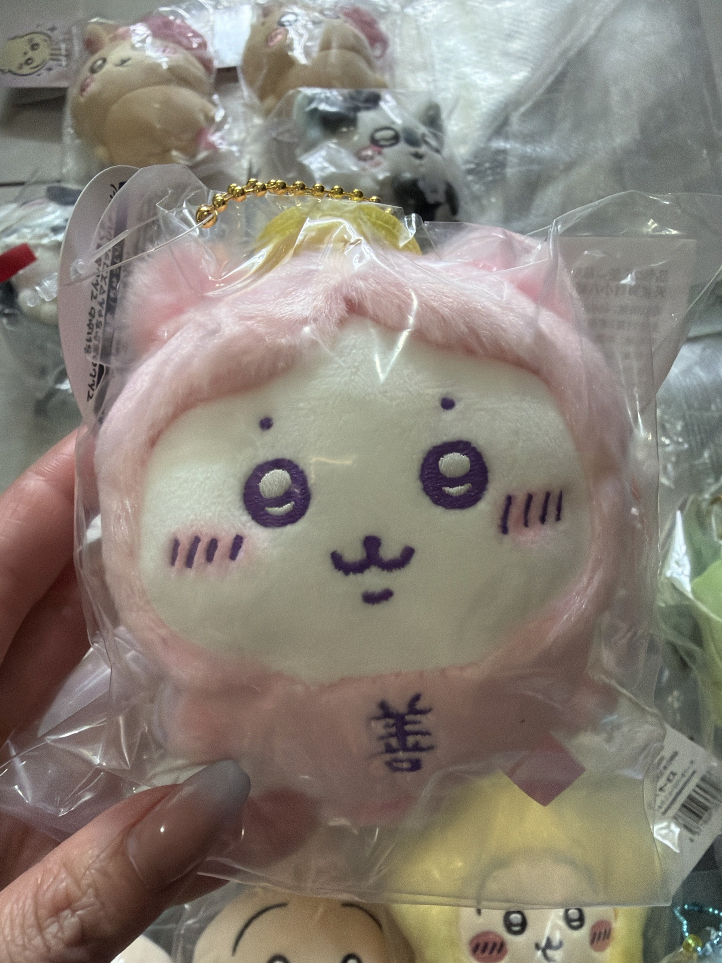 天使寶寶小八貓