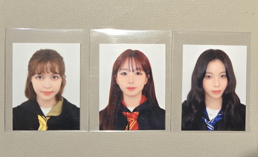 哈利波特證件照 莉嫄圭