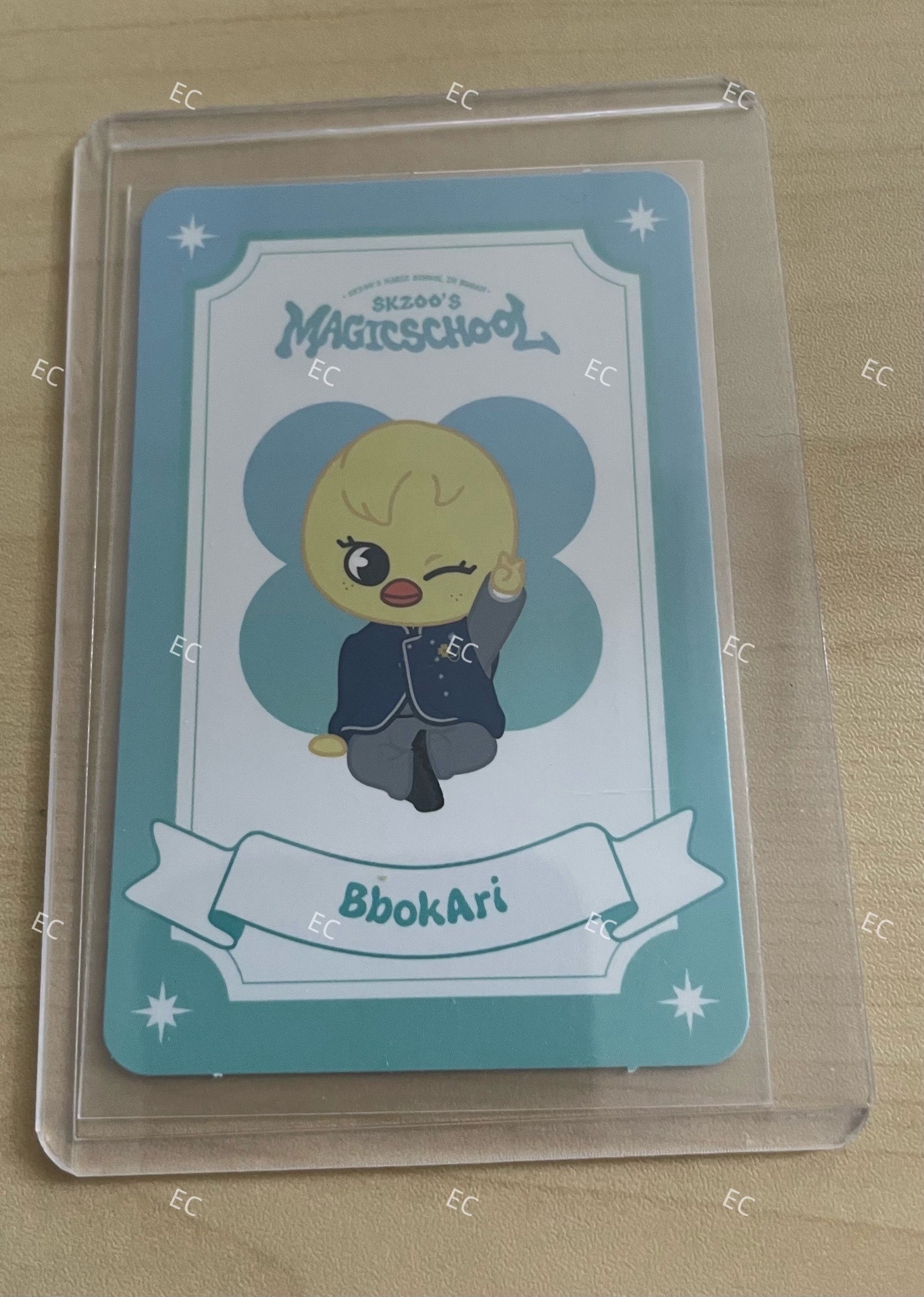 釜山魔法學院入場卡