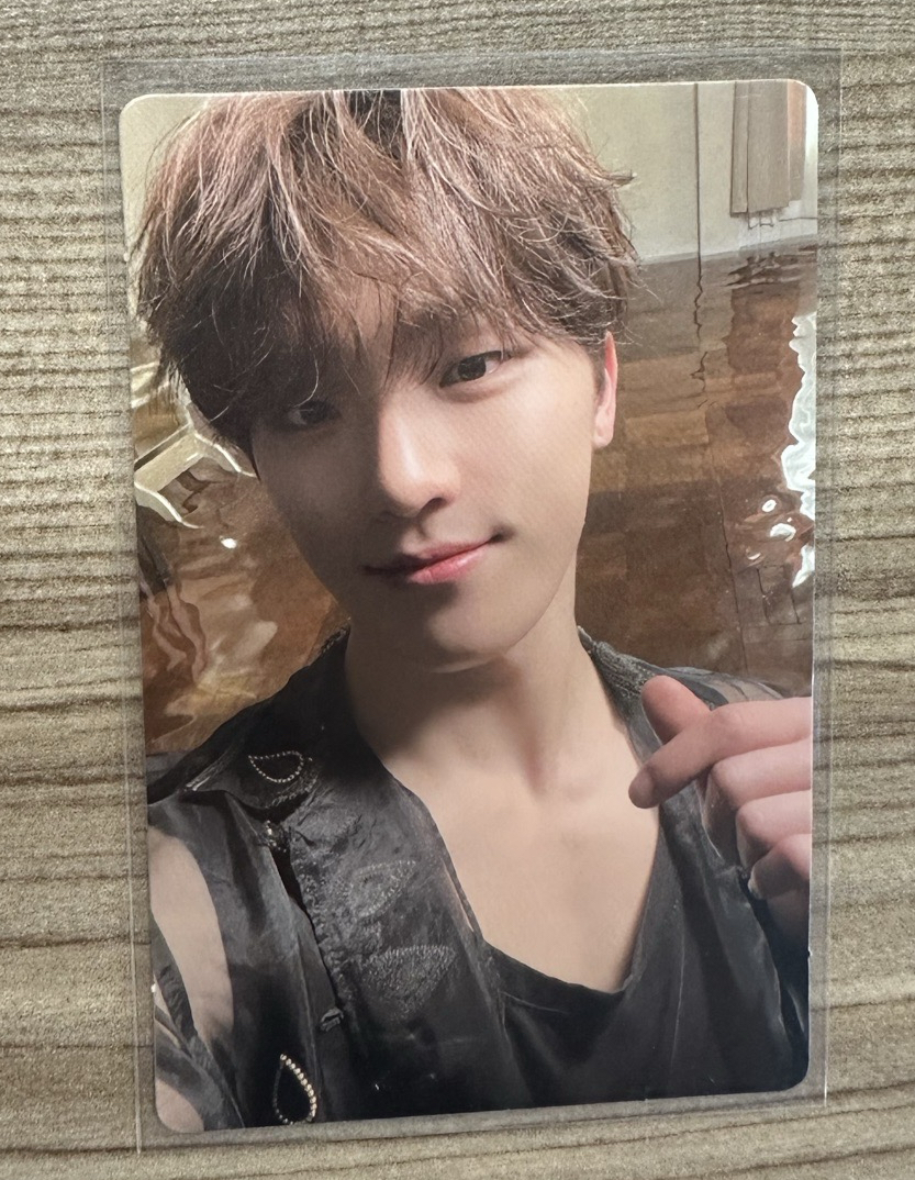 SEVENTEEN DINO 專卡