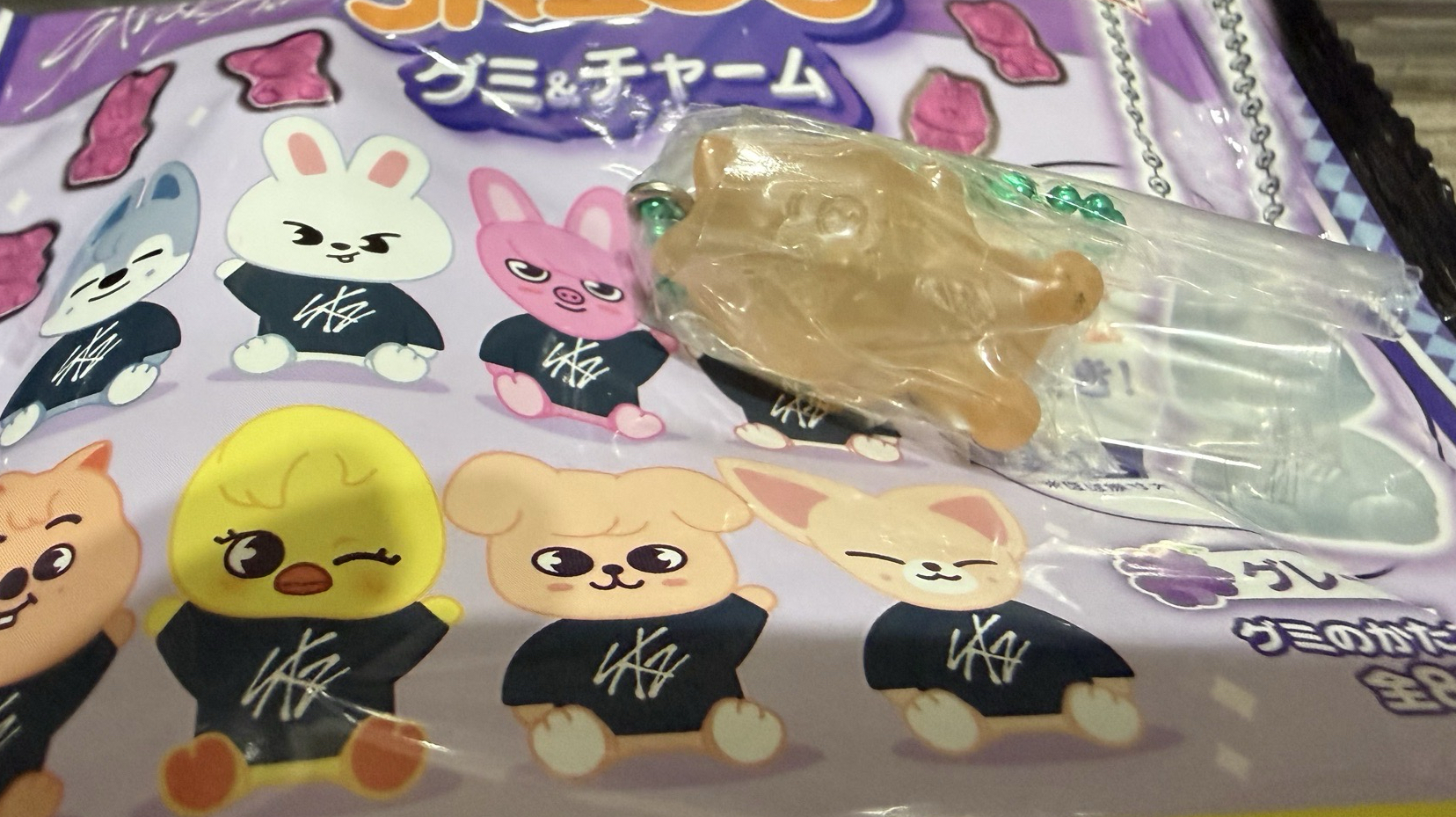 Skzoo 吊飾 確認款 城🐿️