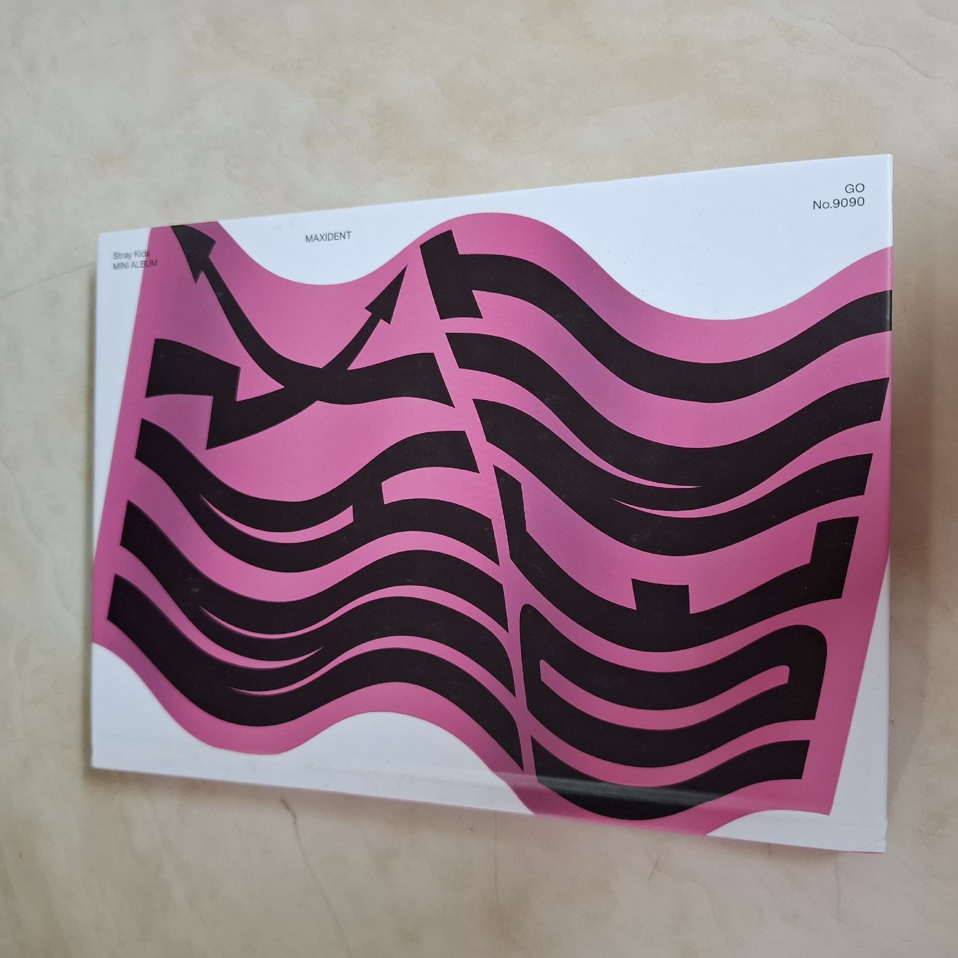 Stray Kids MAXIDENT 限量版 空專